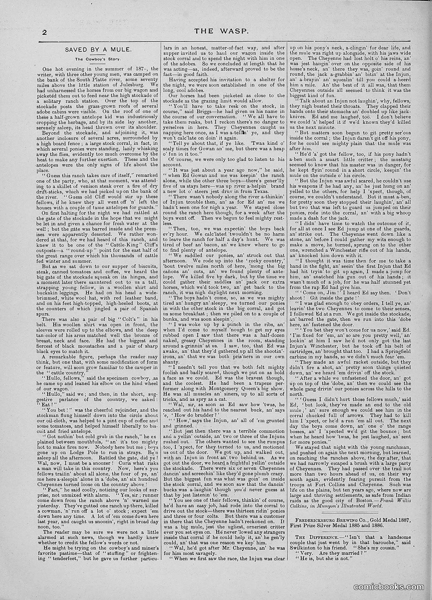 The Wasp — 1888 — page 333 of 526