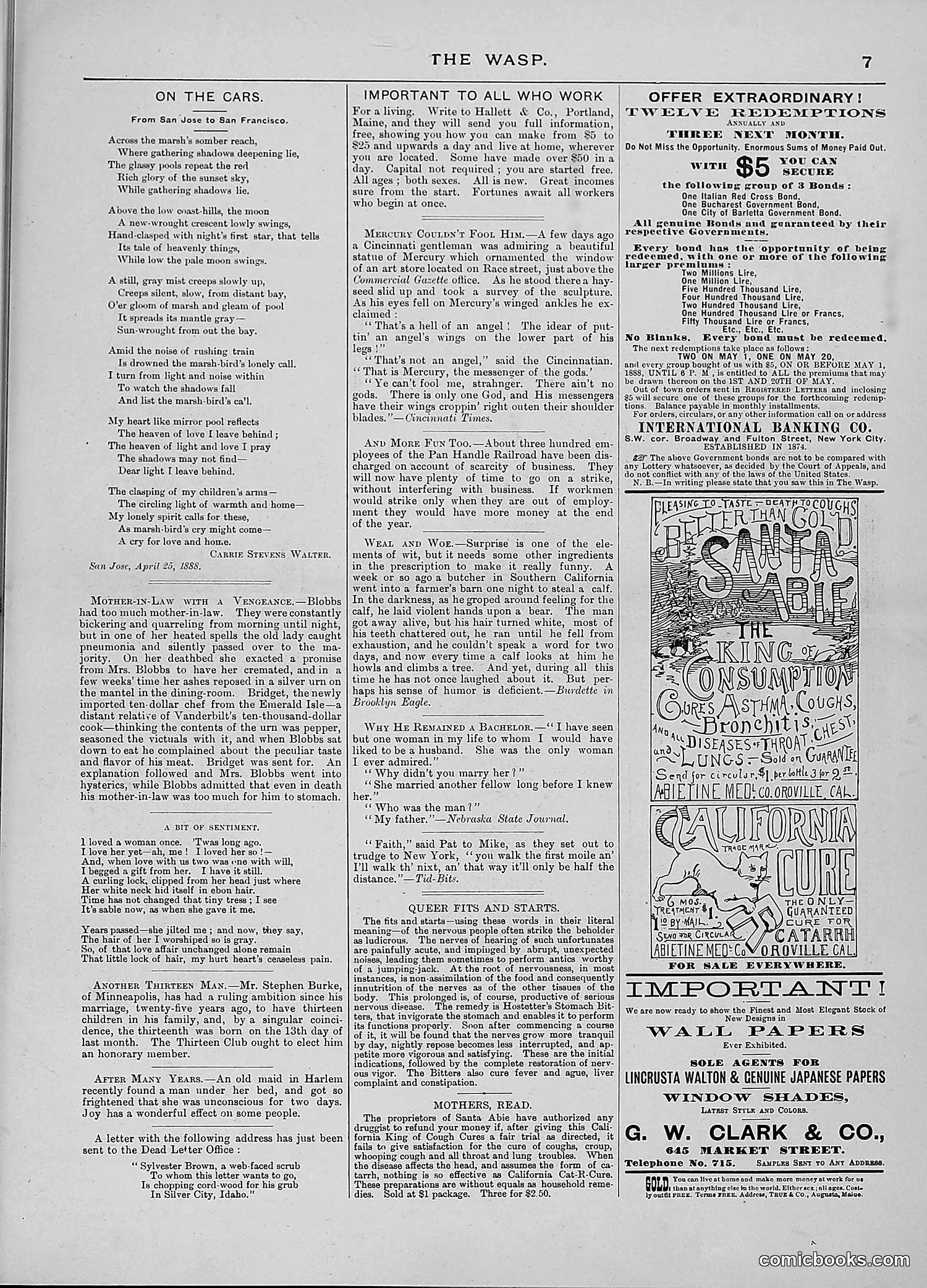 The Wasp — 1888 — page 338 of 526