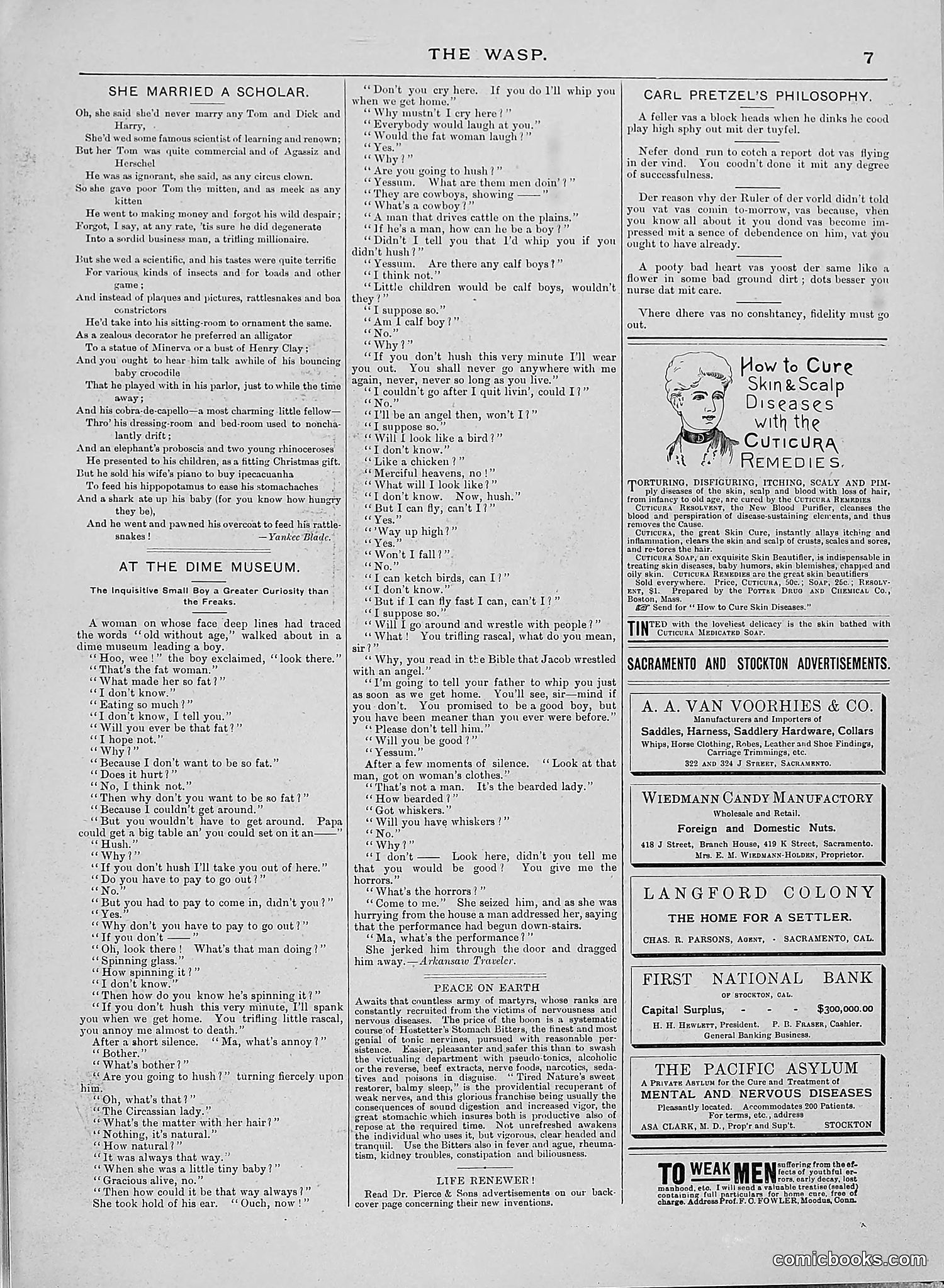 The Wasp — 1888 — page 36 of 526