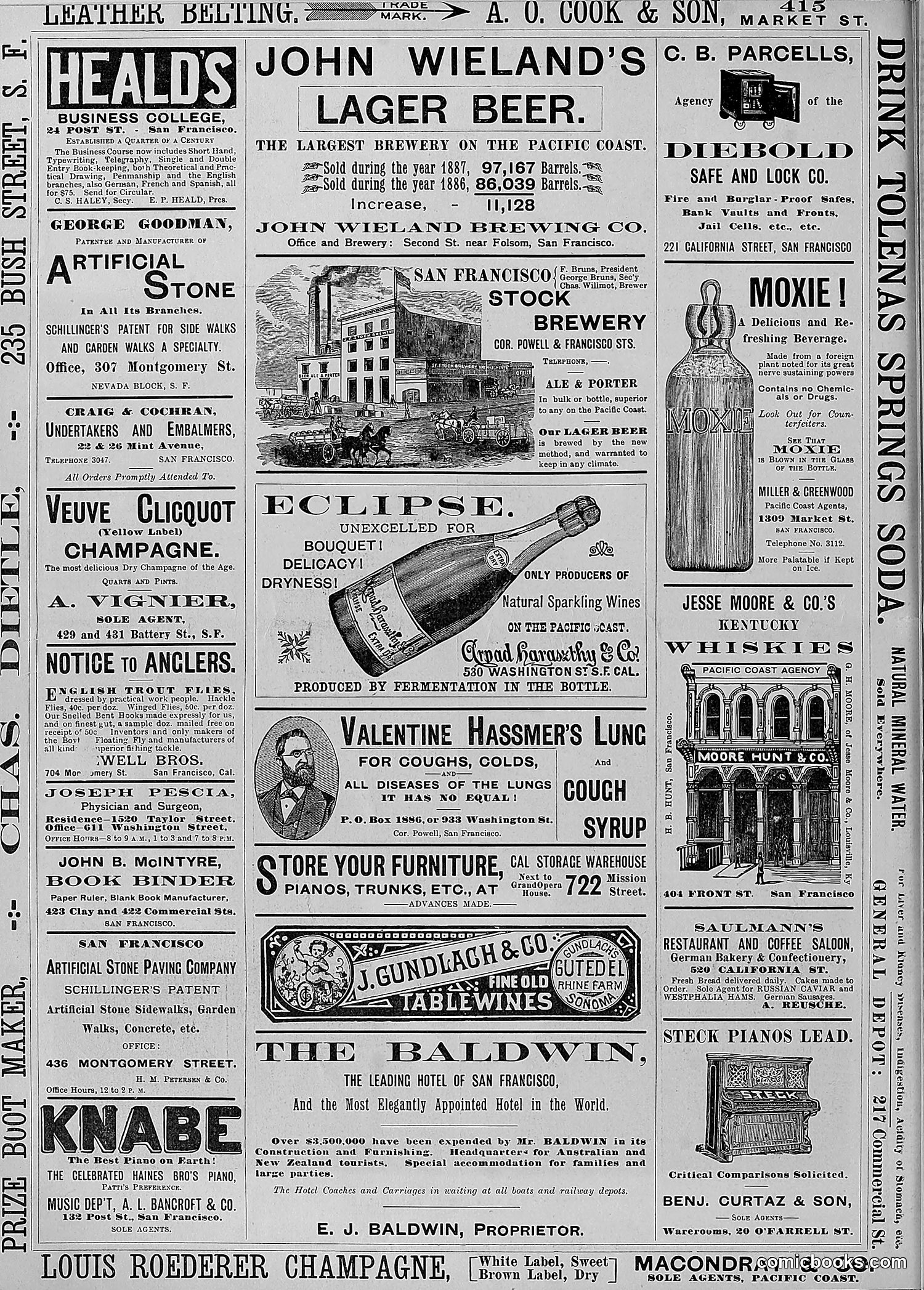 The Wasp — 1888 — page 351 of 526