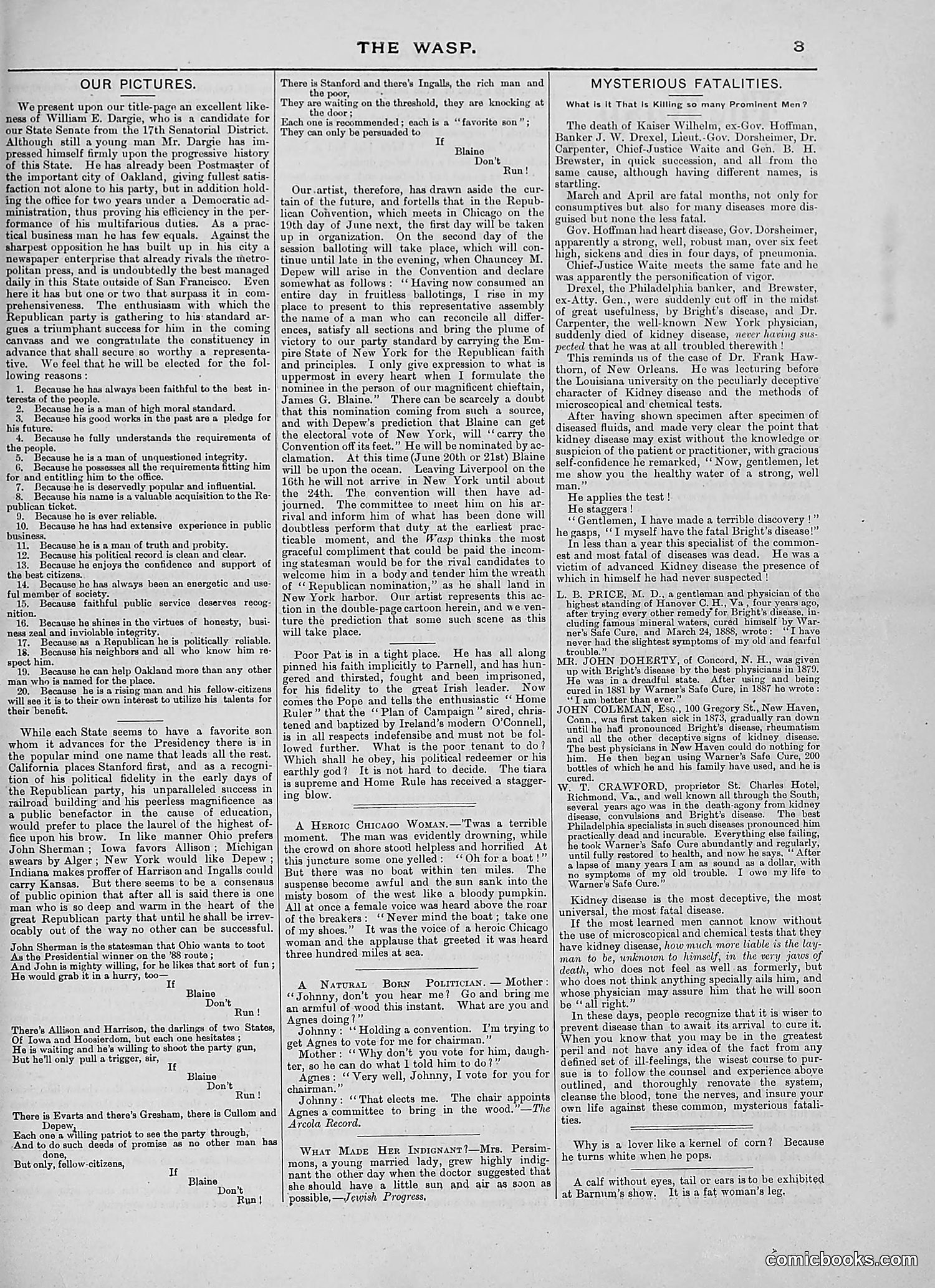 The Wasp — 1888 — page 354 of 526