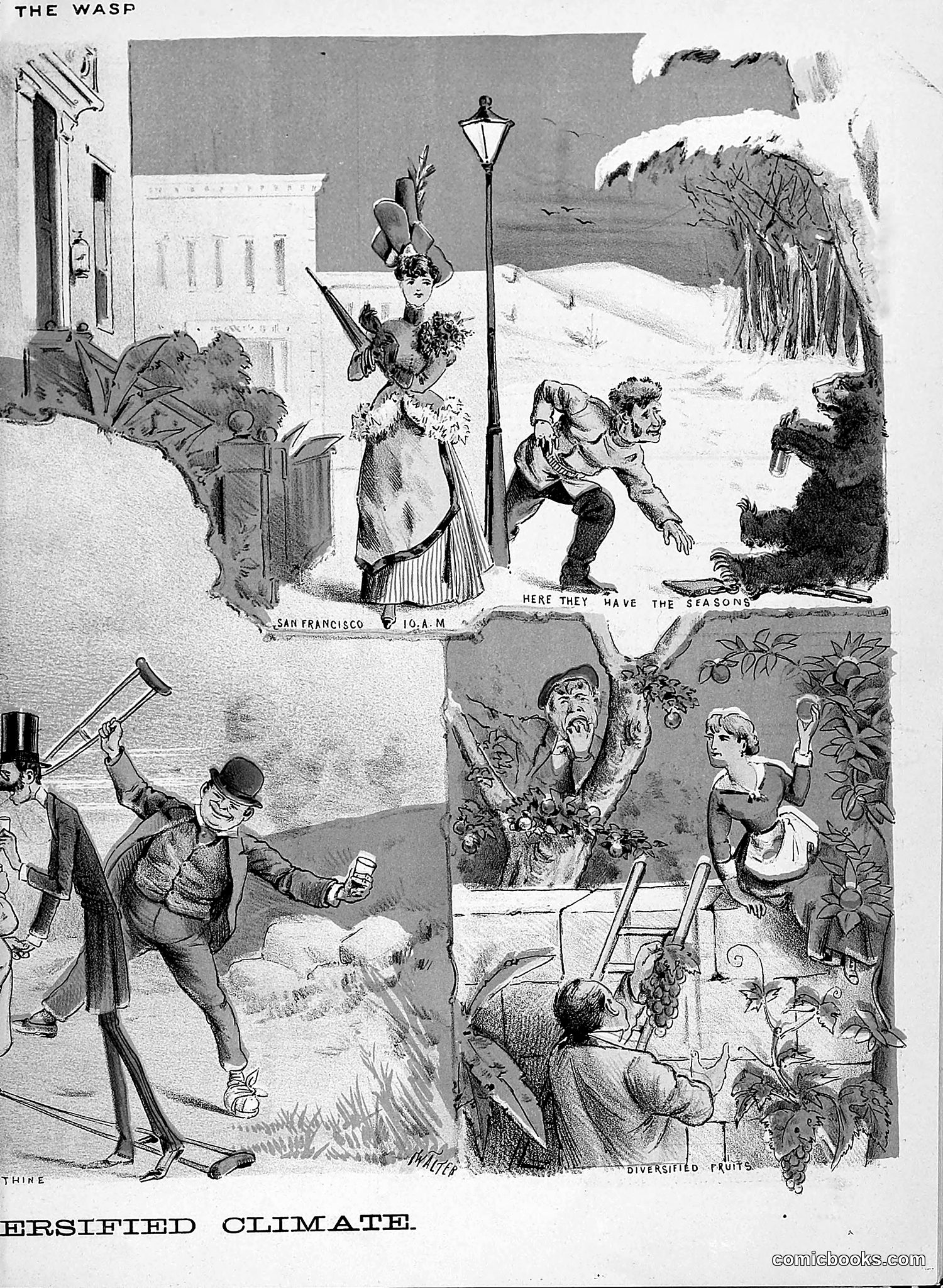 The Wasp — 1888 — page 38 of 526