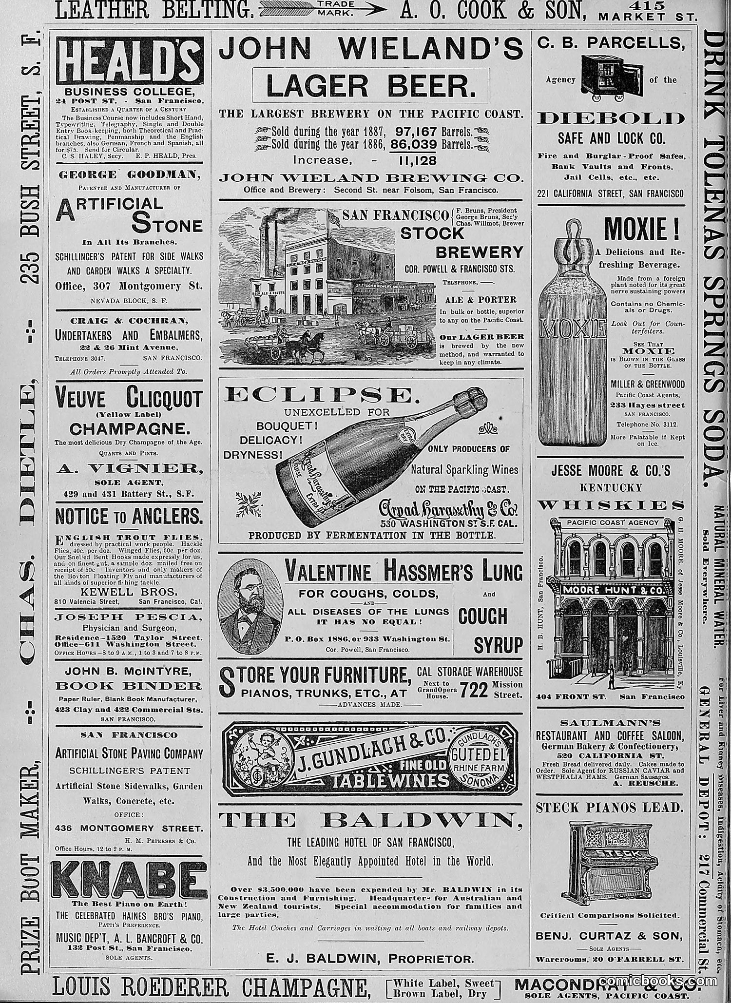 The Wasp — 1888 — page 371 of 526