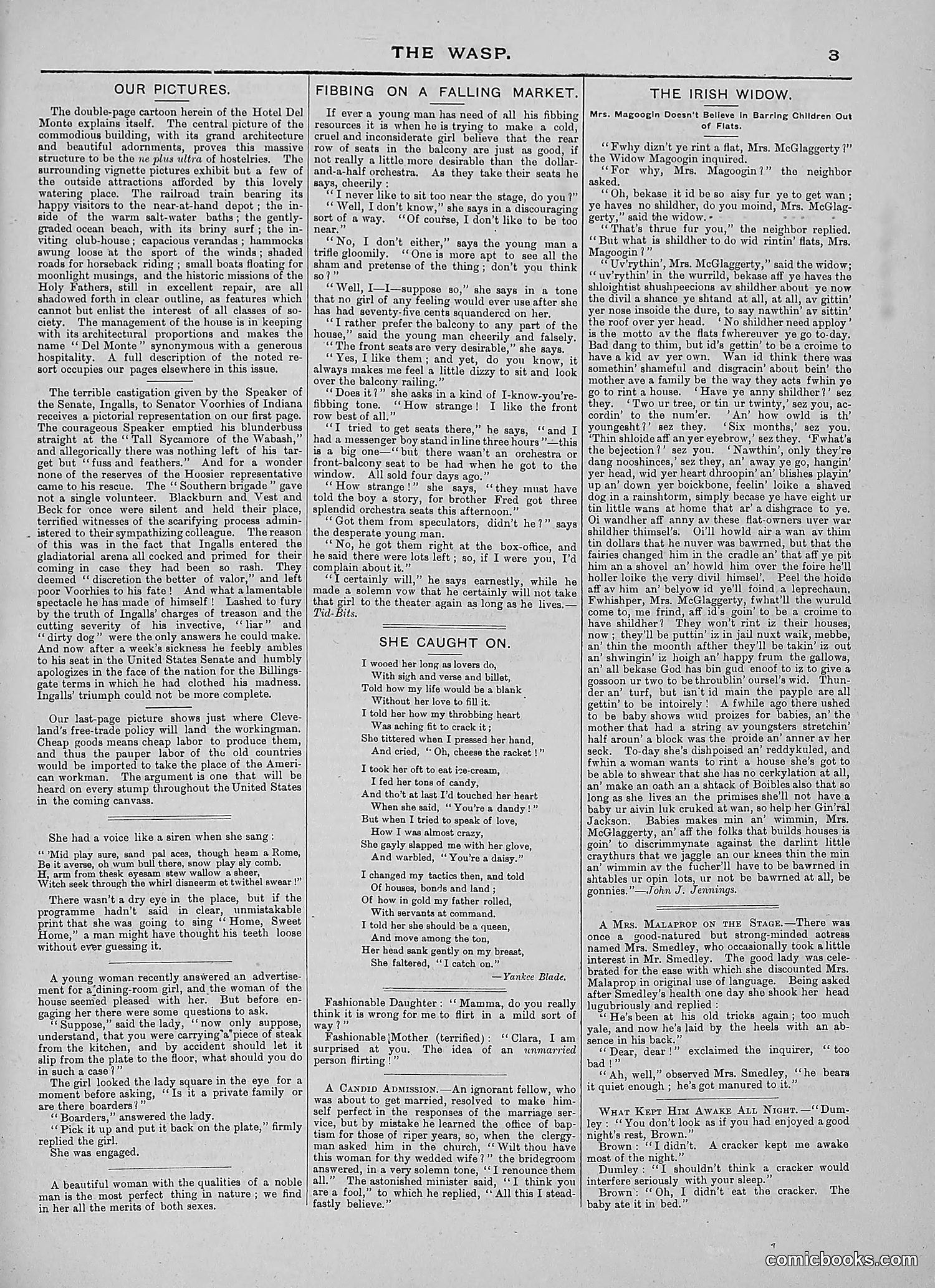The Wasp — 1888 — page 374 of 526