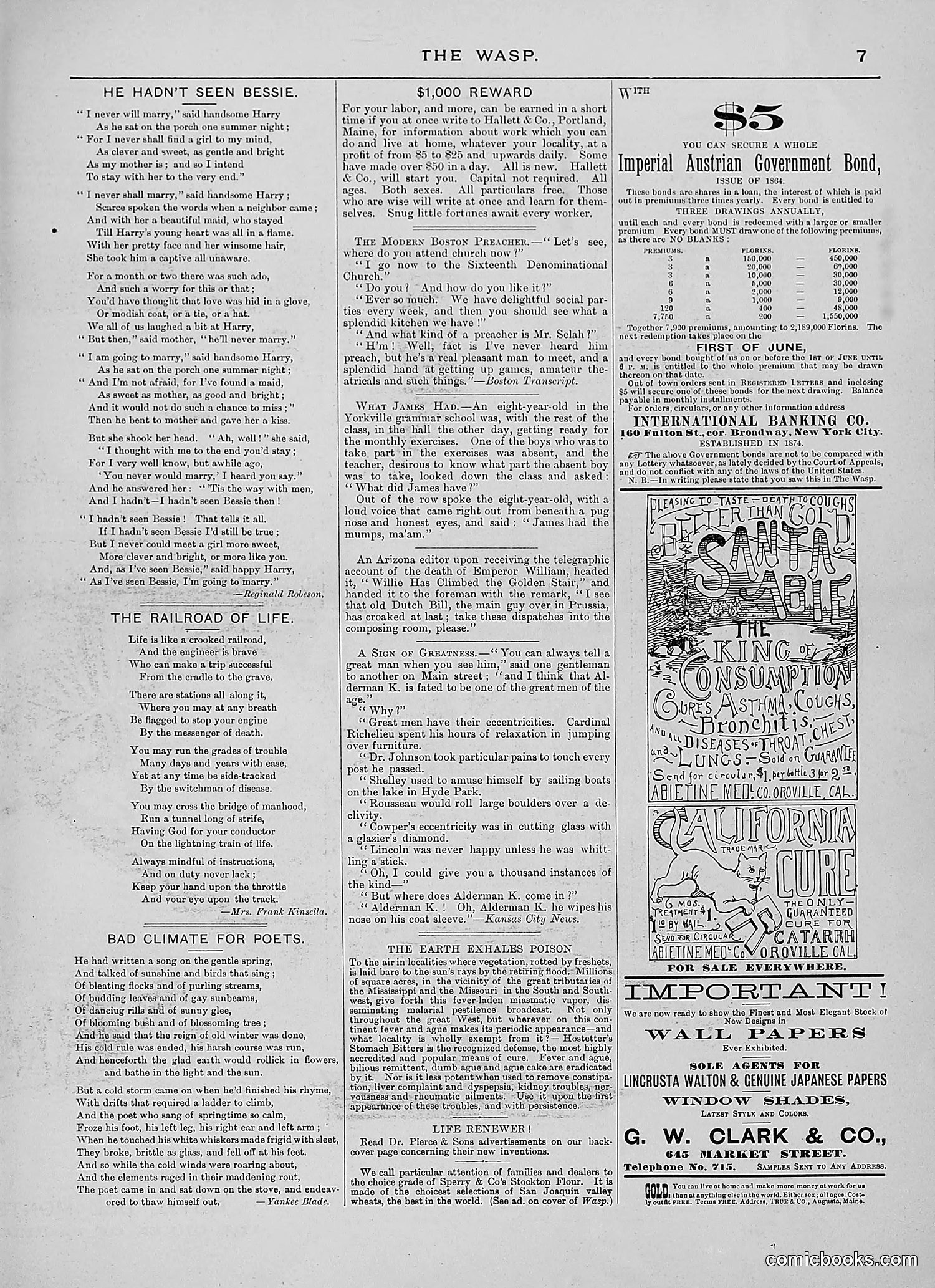 The Wasp — 1888 — page 376 of 526