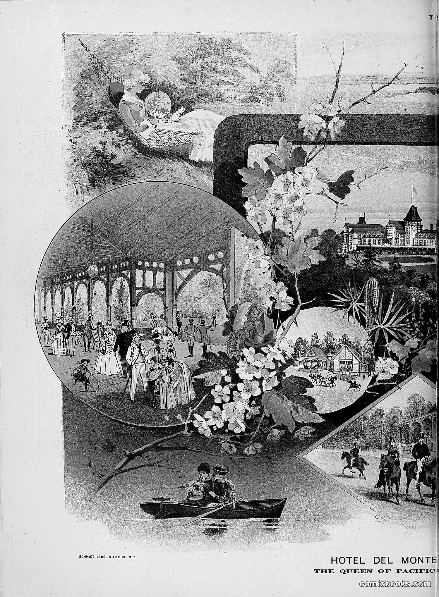 The Wasp — 1888 — page 377 of 526