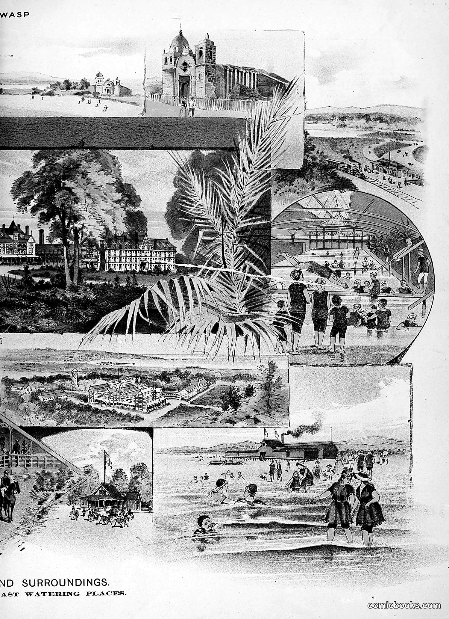 The Wasp — 1888 — page 378 of 526