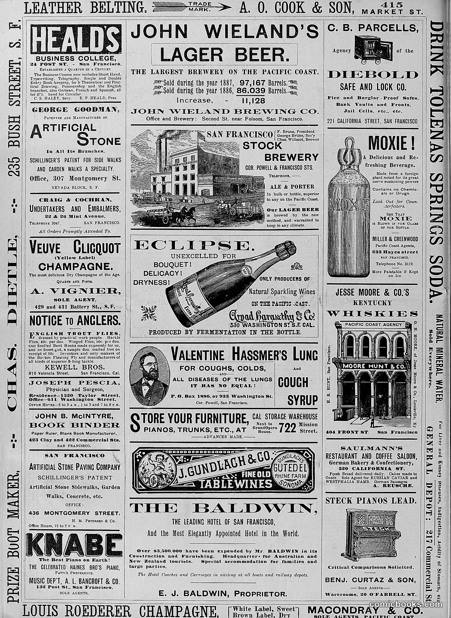 The Wasp — 1888 — page 389 of 526
