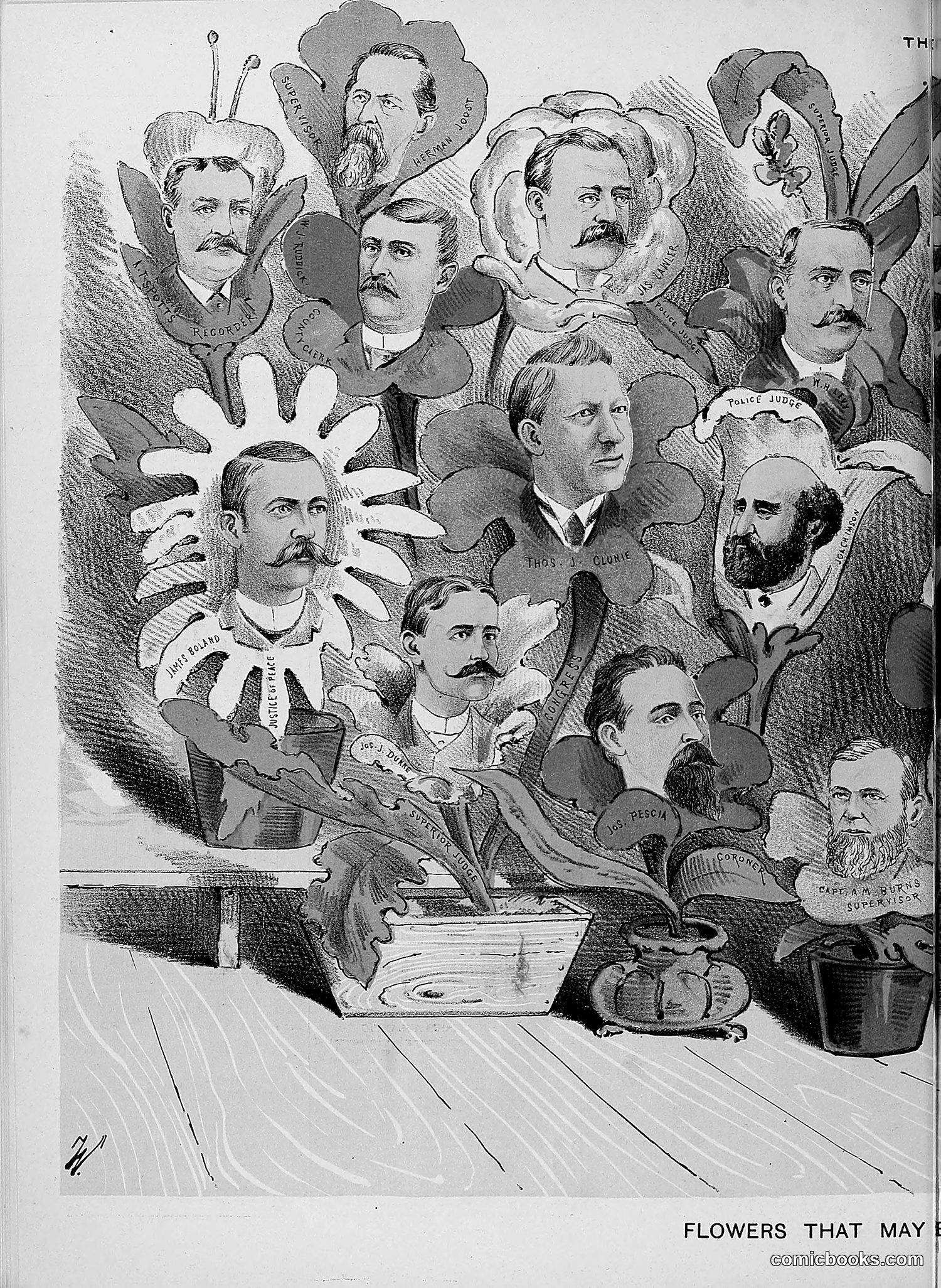 The Wasp — 1888 — page 397 of 526