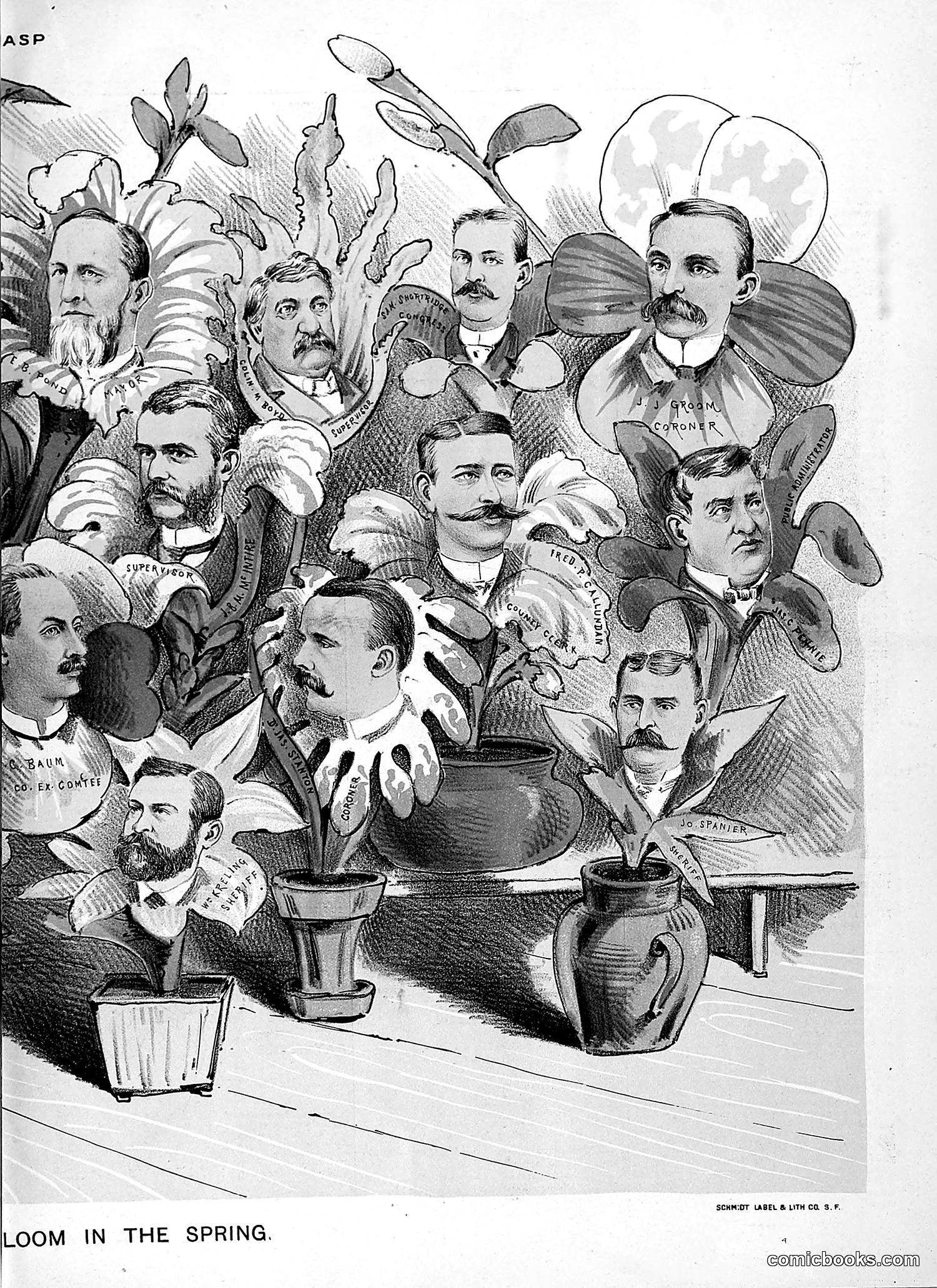 The Wasp — 1888 — page 398 of 526