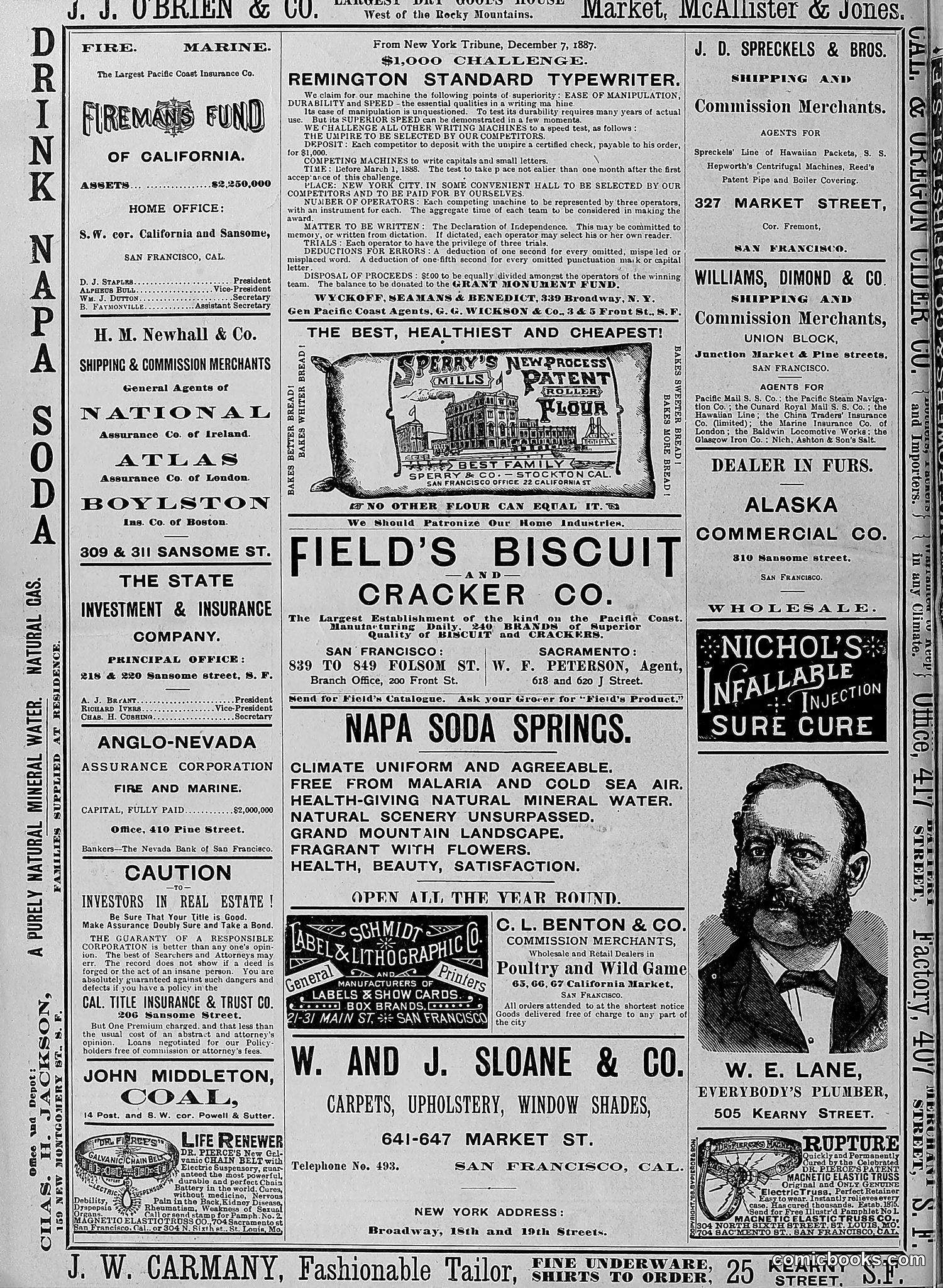 The Wasp — 1888 — page 407 of 526