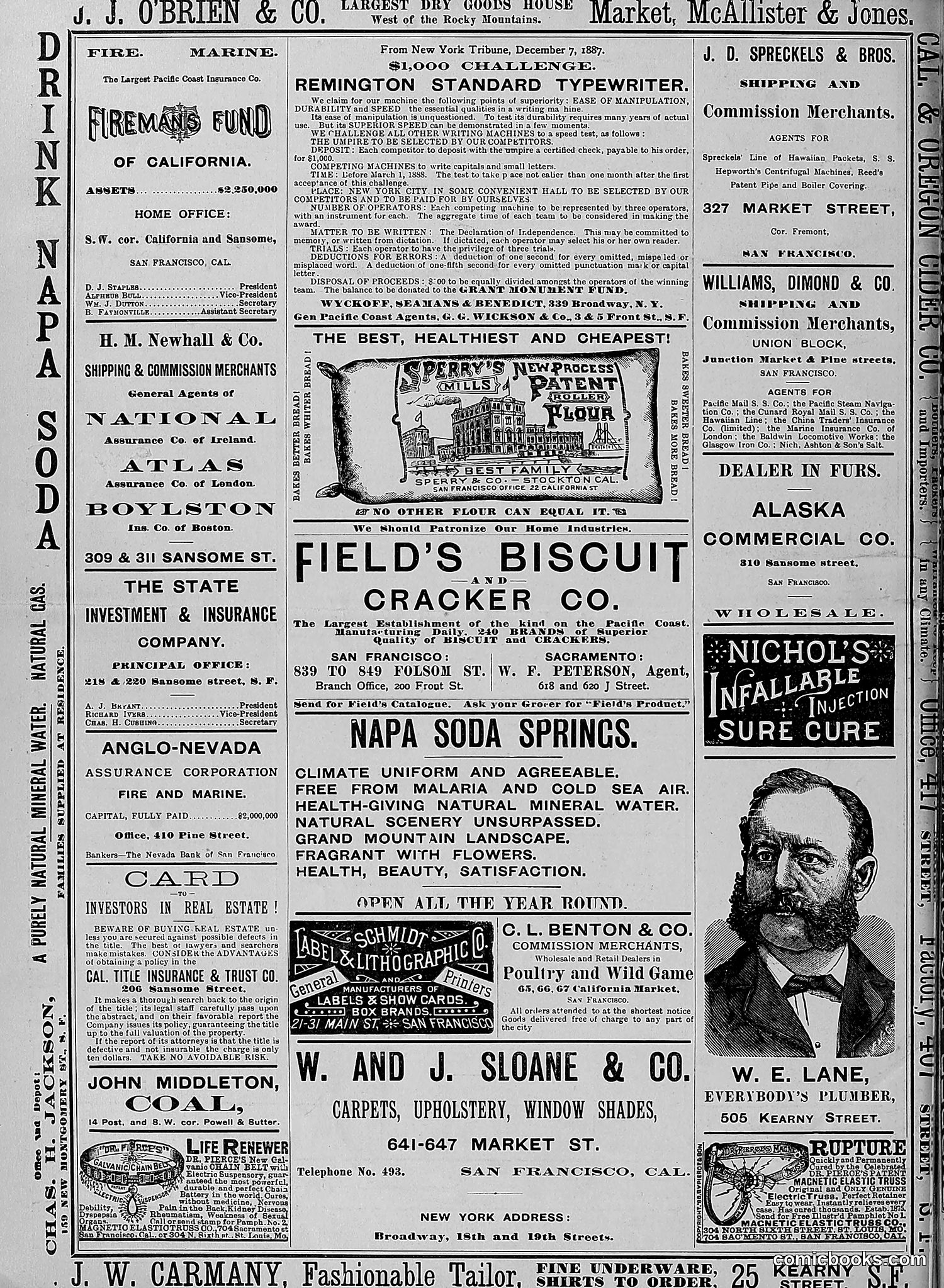 The Wasp — 1888 — page 427 of 526