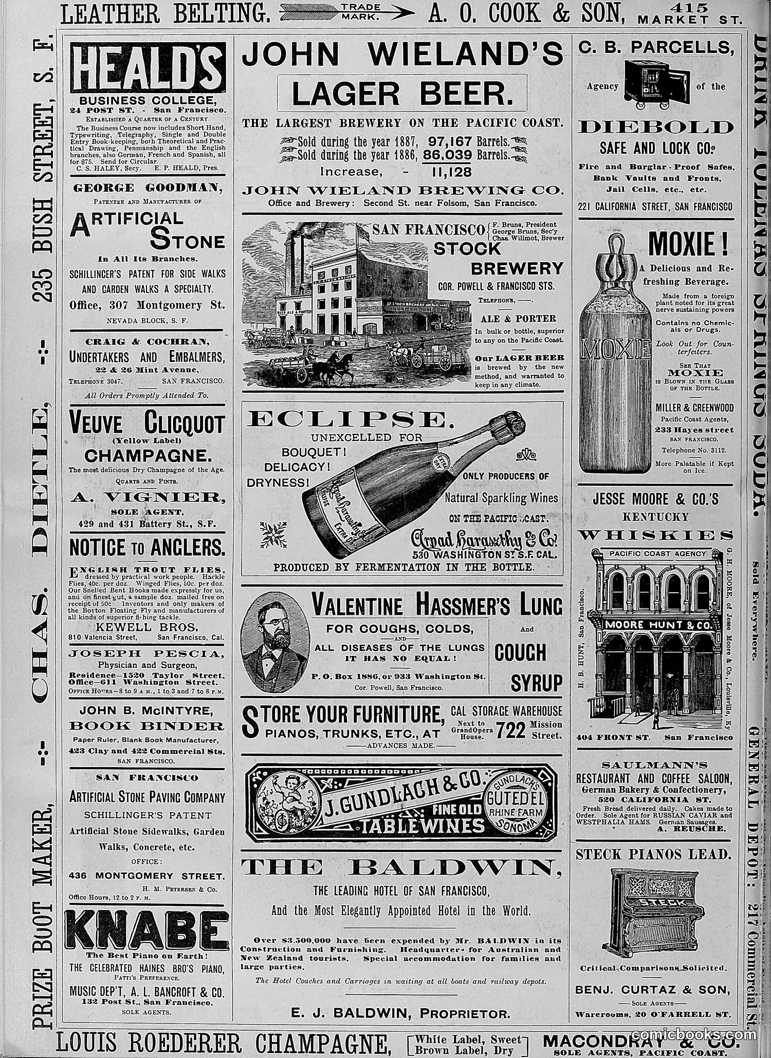 The Wasp — 1888 — page 429 of 526