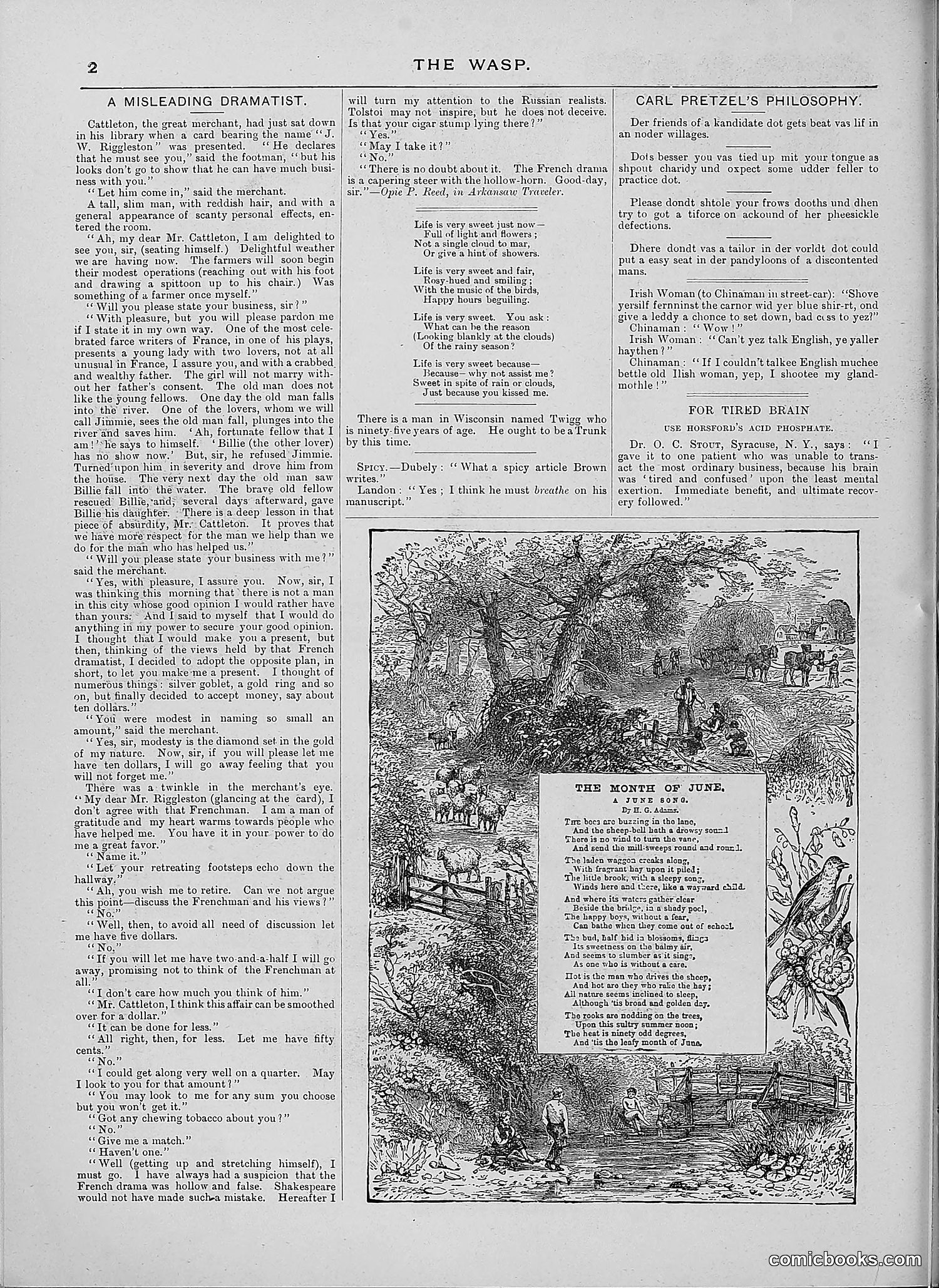 The Wasp — 1888 — page 431 of 526