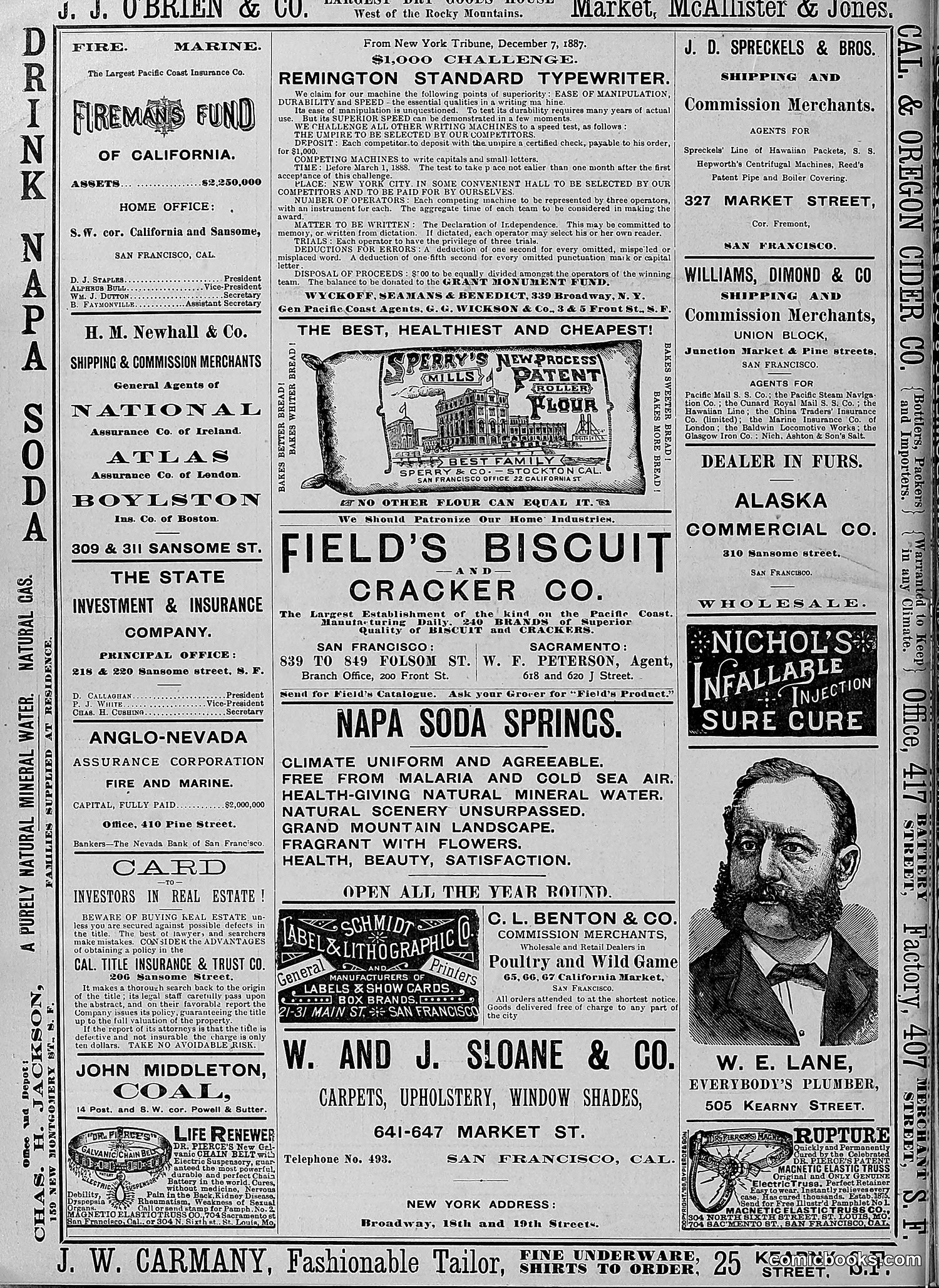 The Wasp — 1888 — page 447 of 526