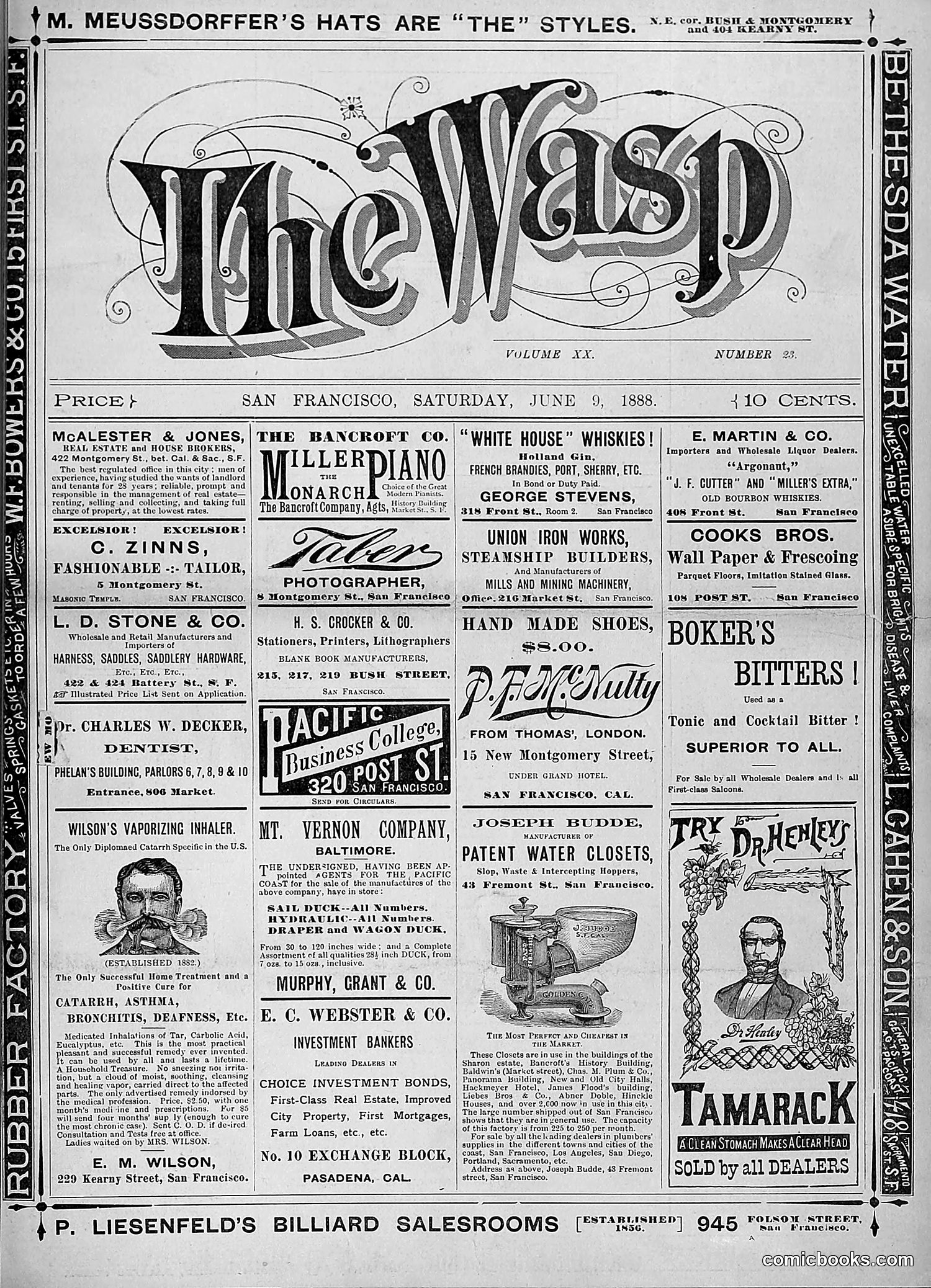 The Wasp — 1888 — page 448 of 526