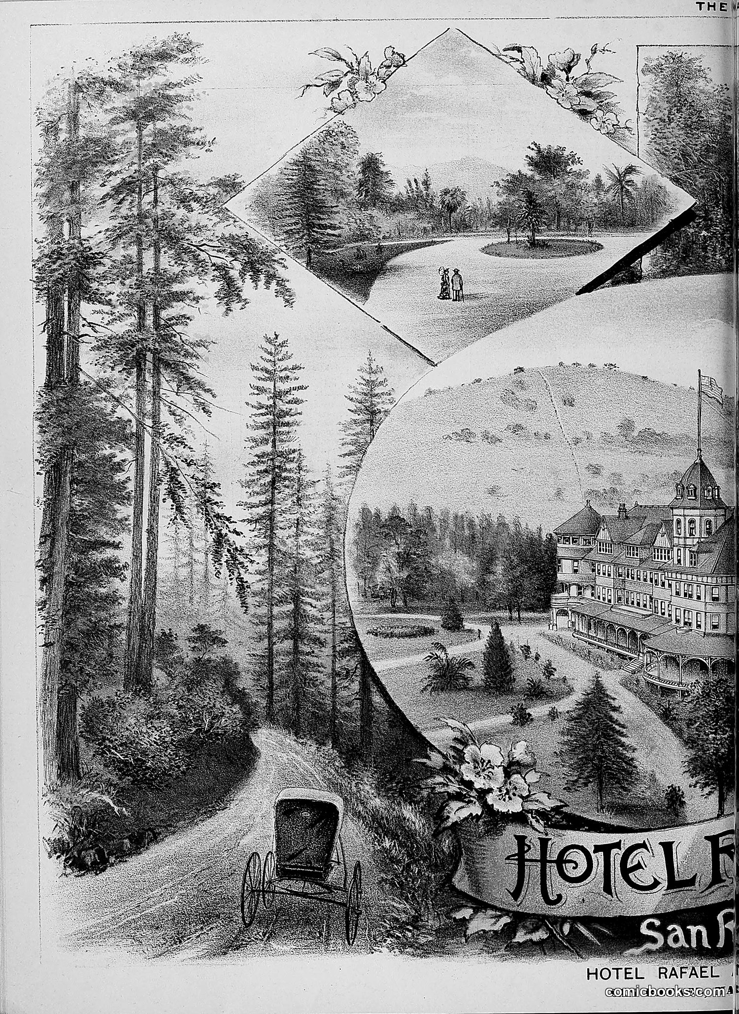 The Wasp — 1888 — page 457 of 526