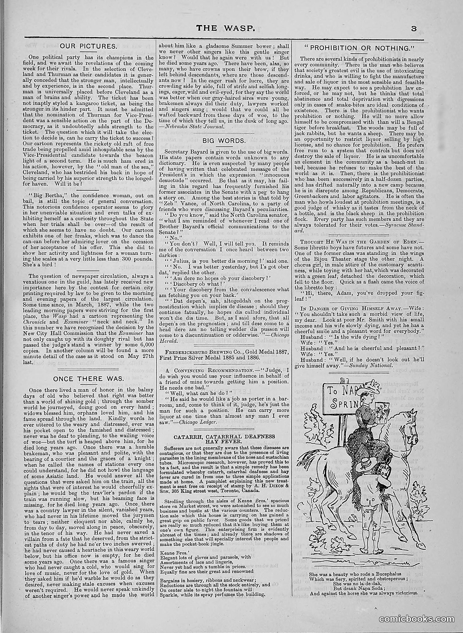 The Wasp — 1888 — page 472 of 526