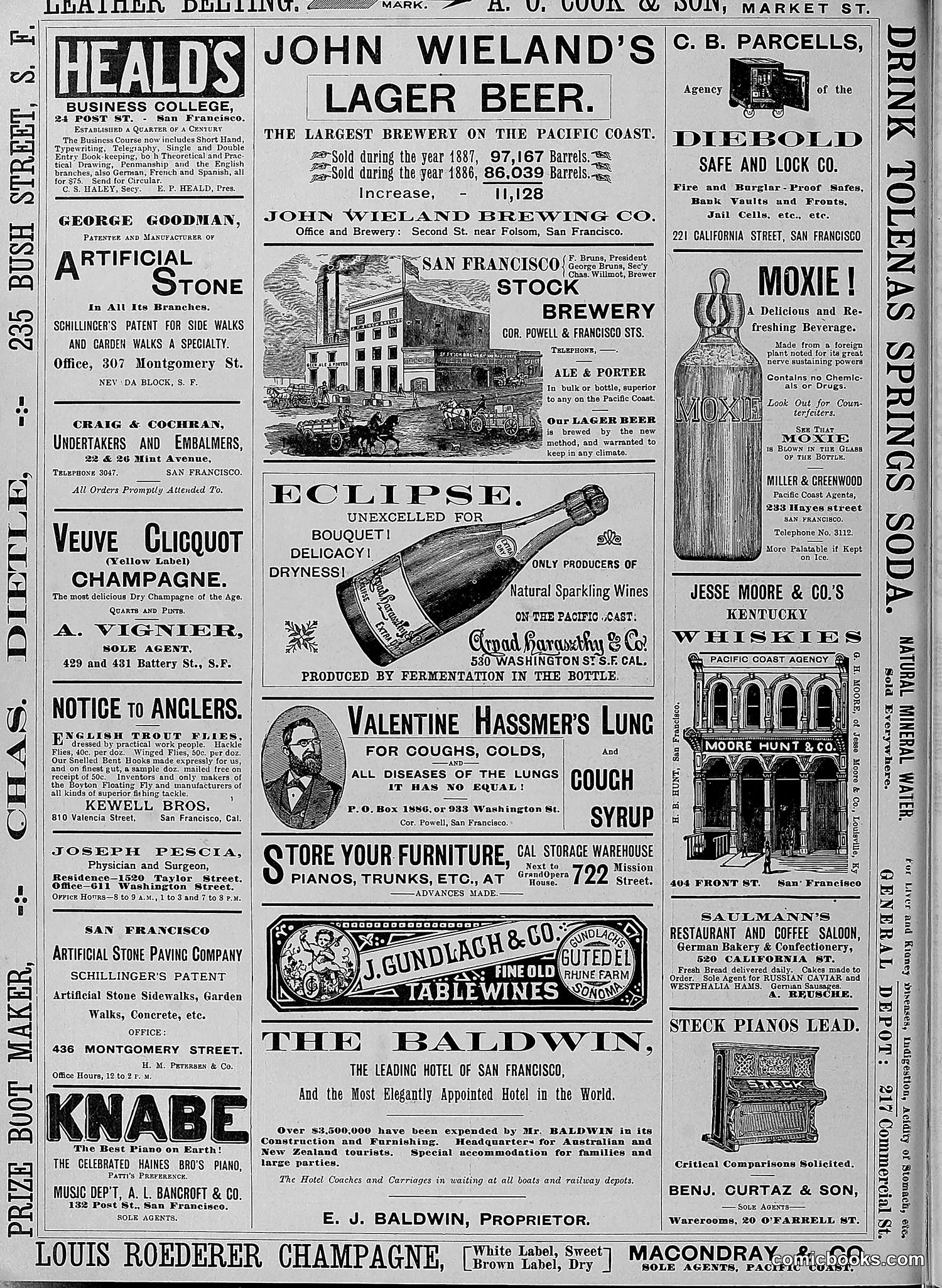 The Wasp — 1888 — page 505 of 526