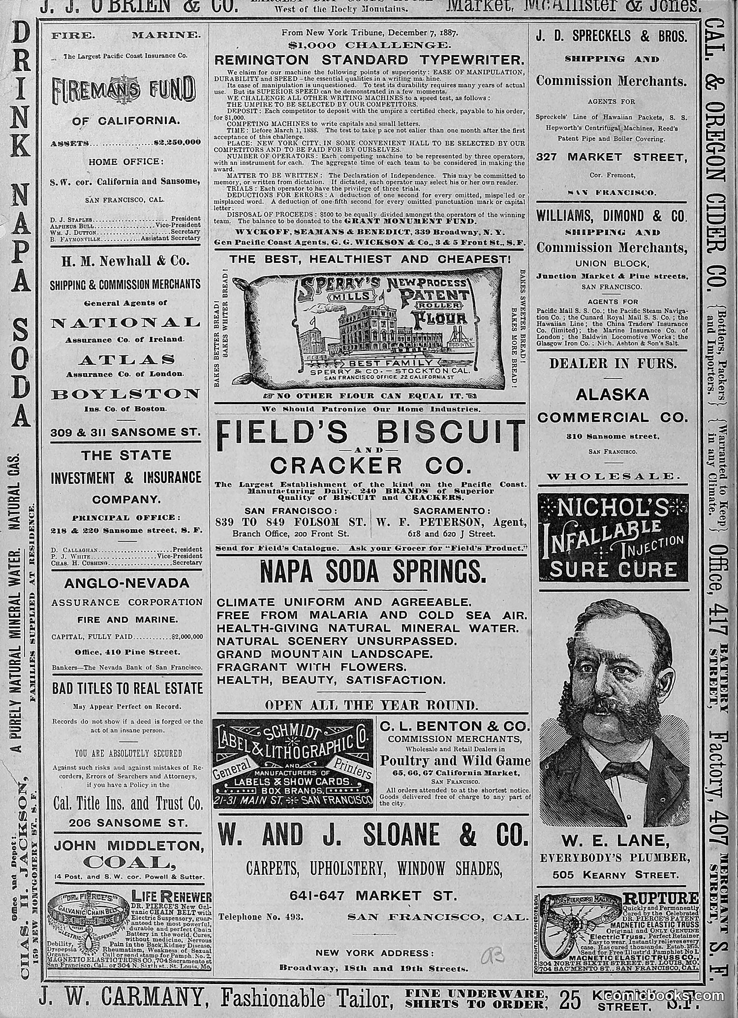 The Wasp — 1888 — page 521 of 526