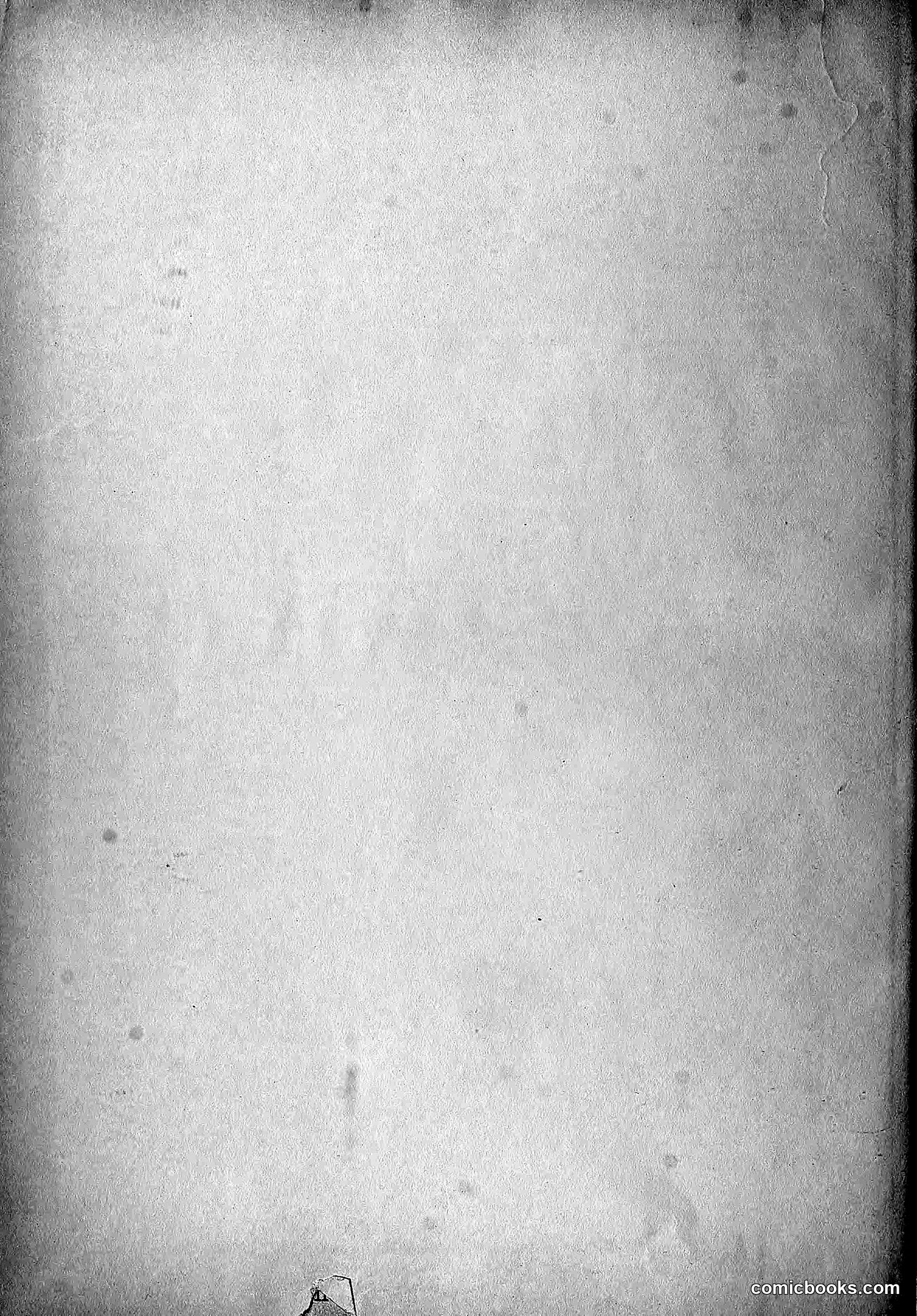 The Wasp — 1888 — page 523 of 526