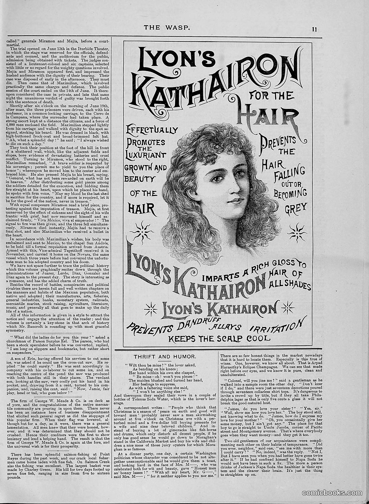 The Wasp — 1888 — page 60 of 526