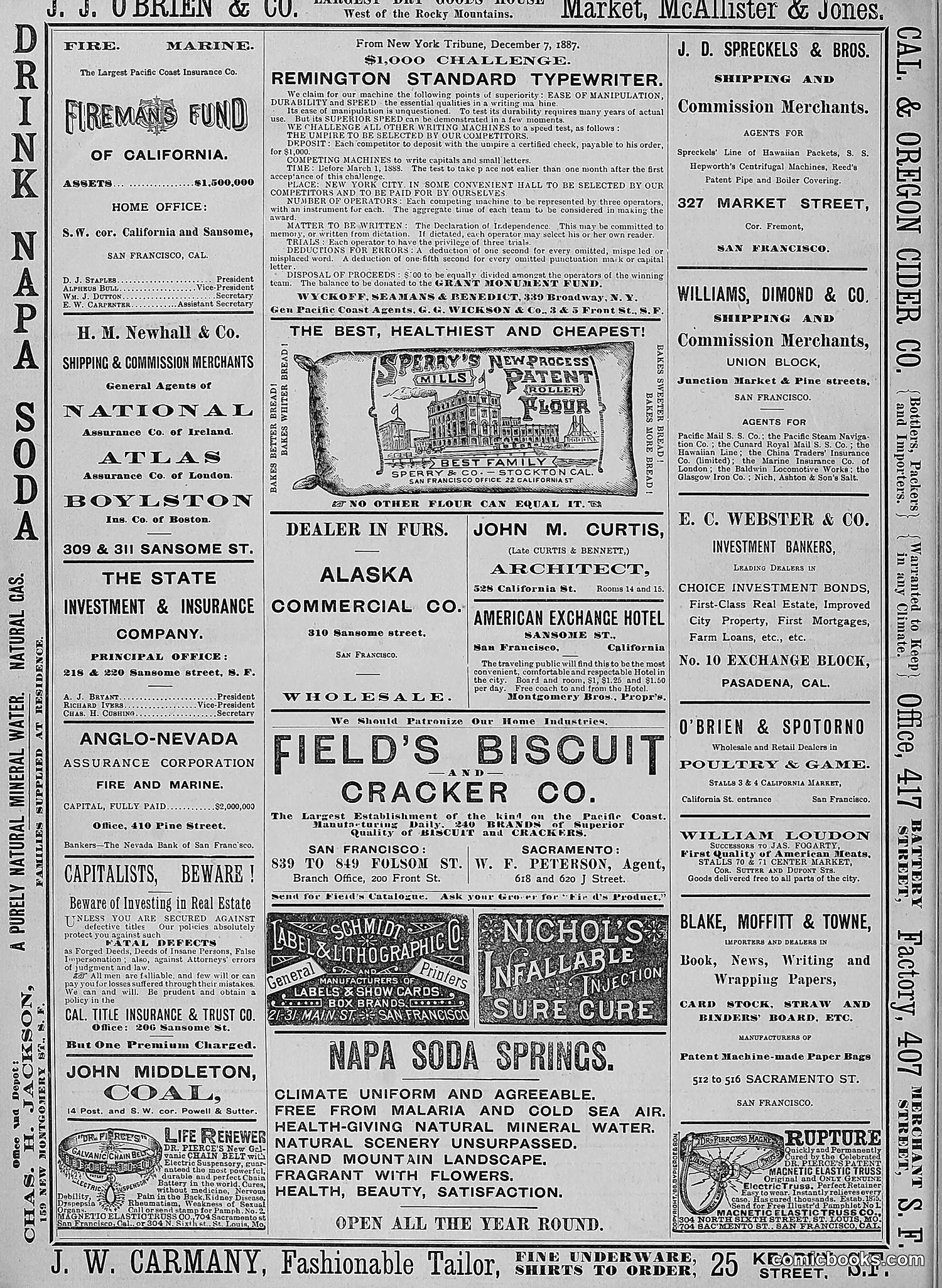 The Wasp — 1888 — page 67 of 526