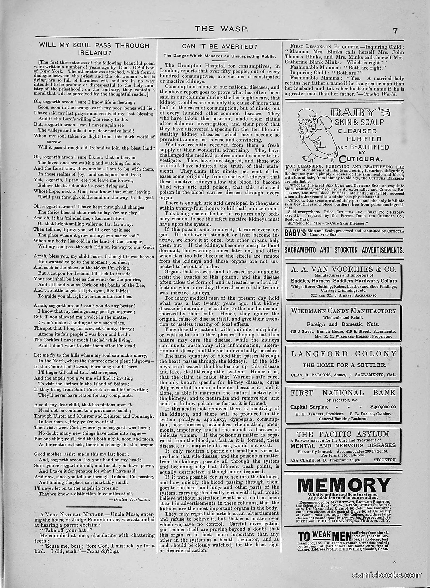 The Wasp — 1888 — page 96 of 526