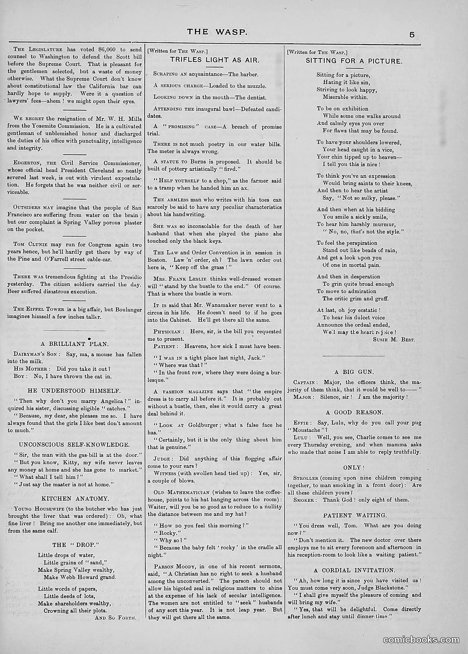 The Wasp — 1889 — page 132 of 440