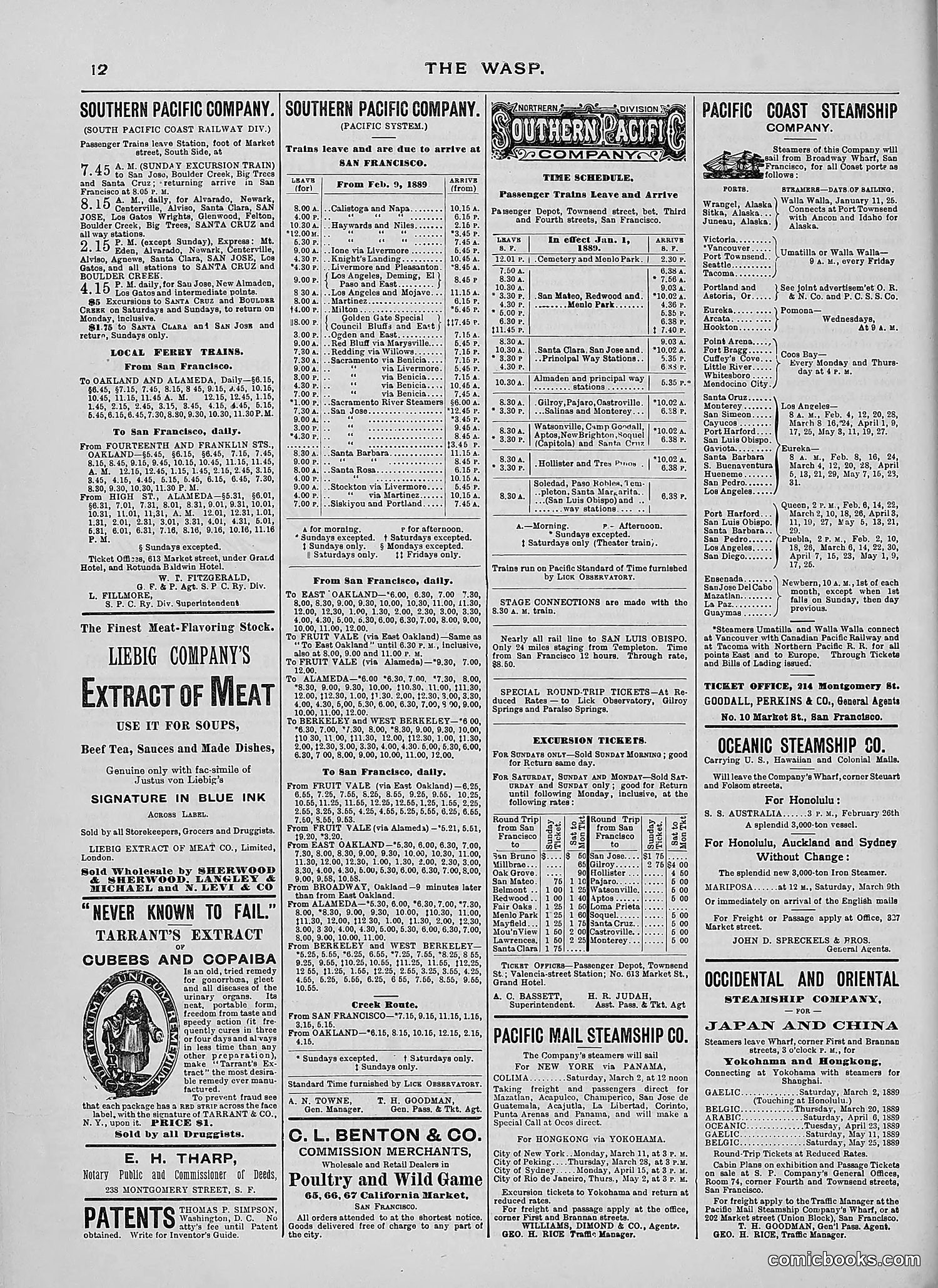 The Wasp — 1889 — page 157 of 440
