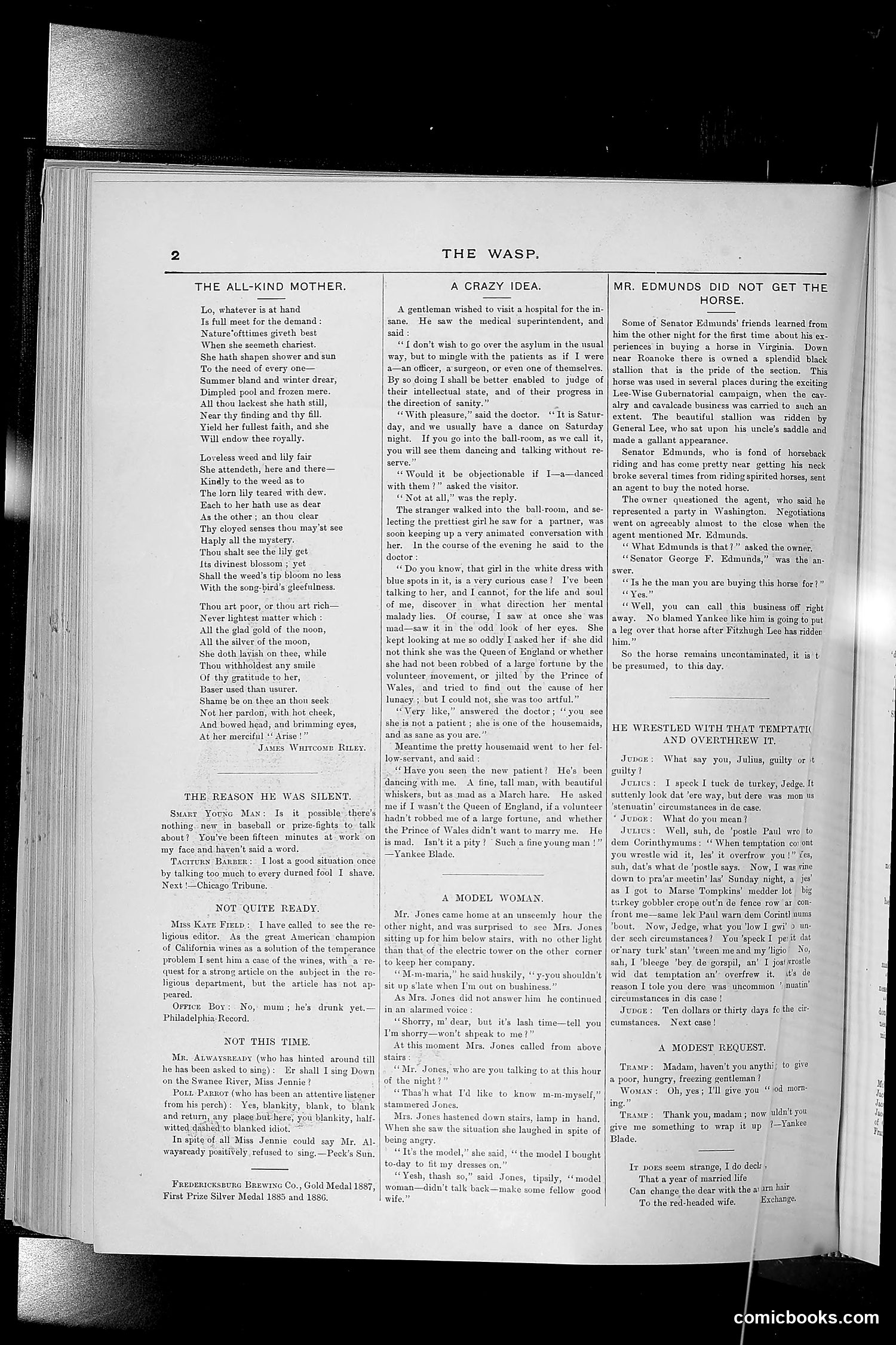 The Wasp — 1889 — page 163 of 440