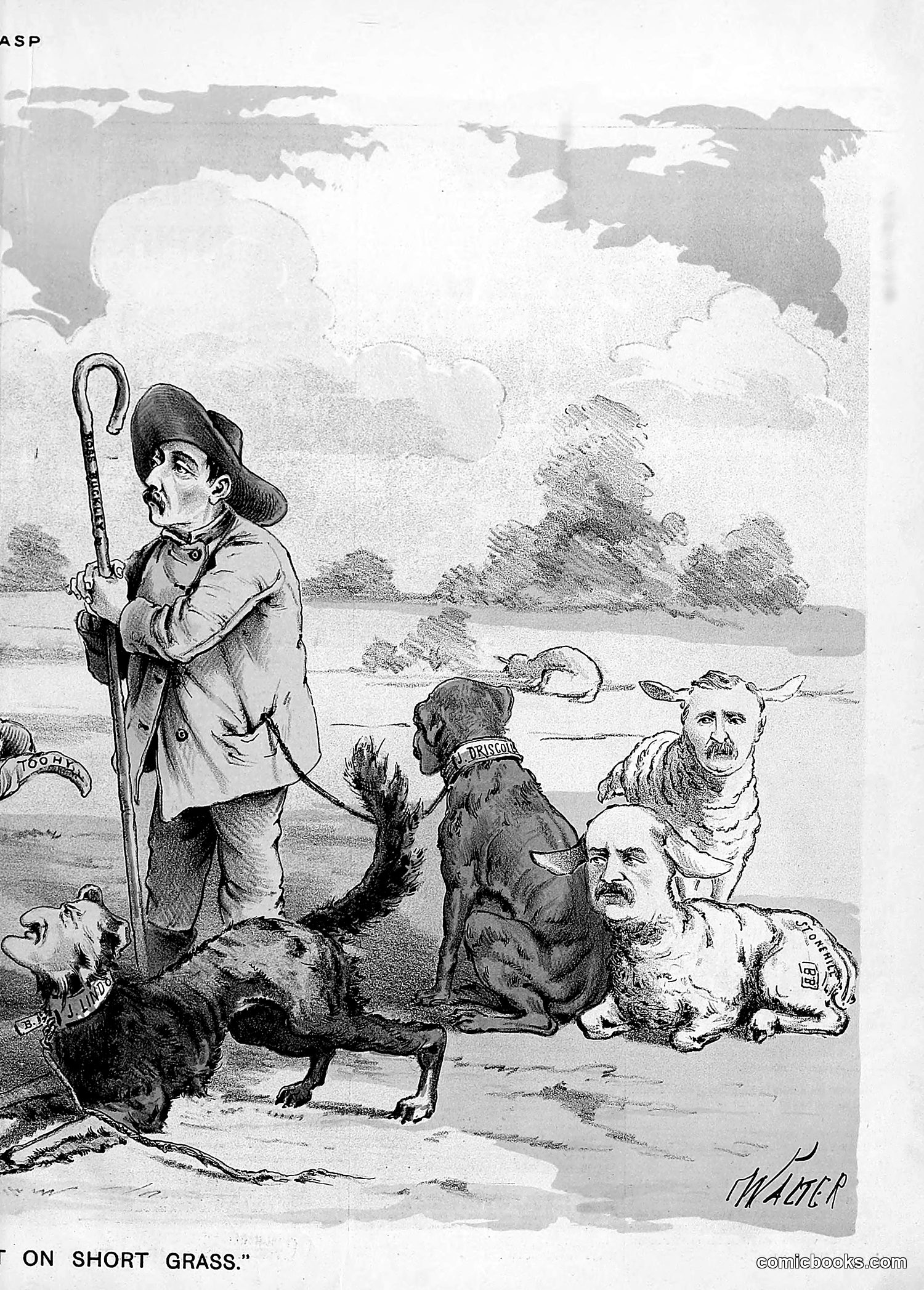 The Wasp — 1889 — page 18 of 440