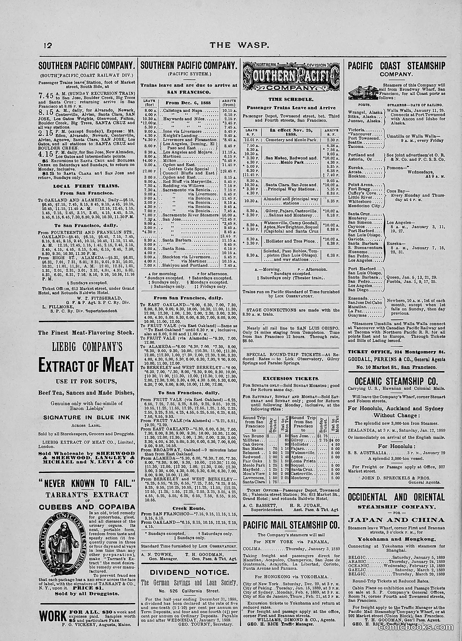 The Wasp — 1889 — page 21 of 440