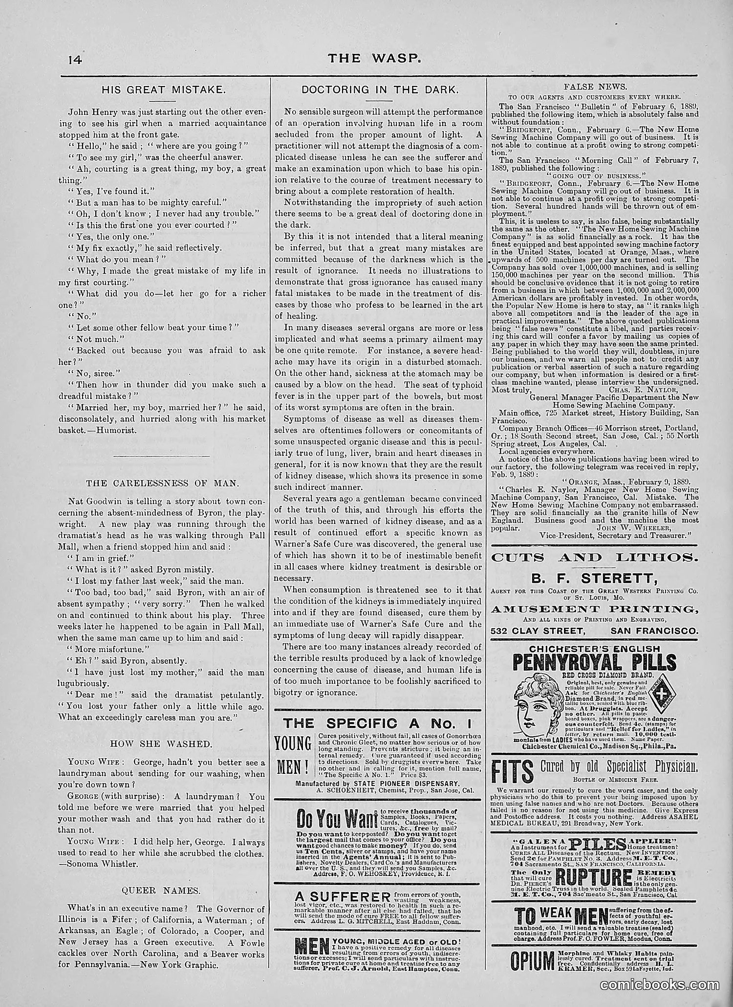 The Wasp — 1889 — page 213 of 440