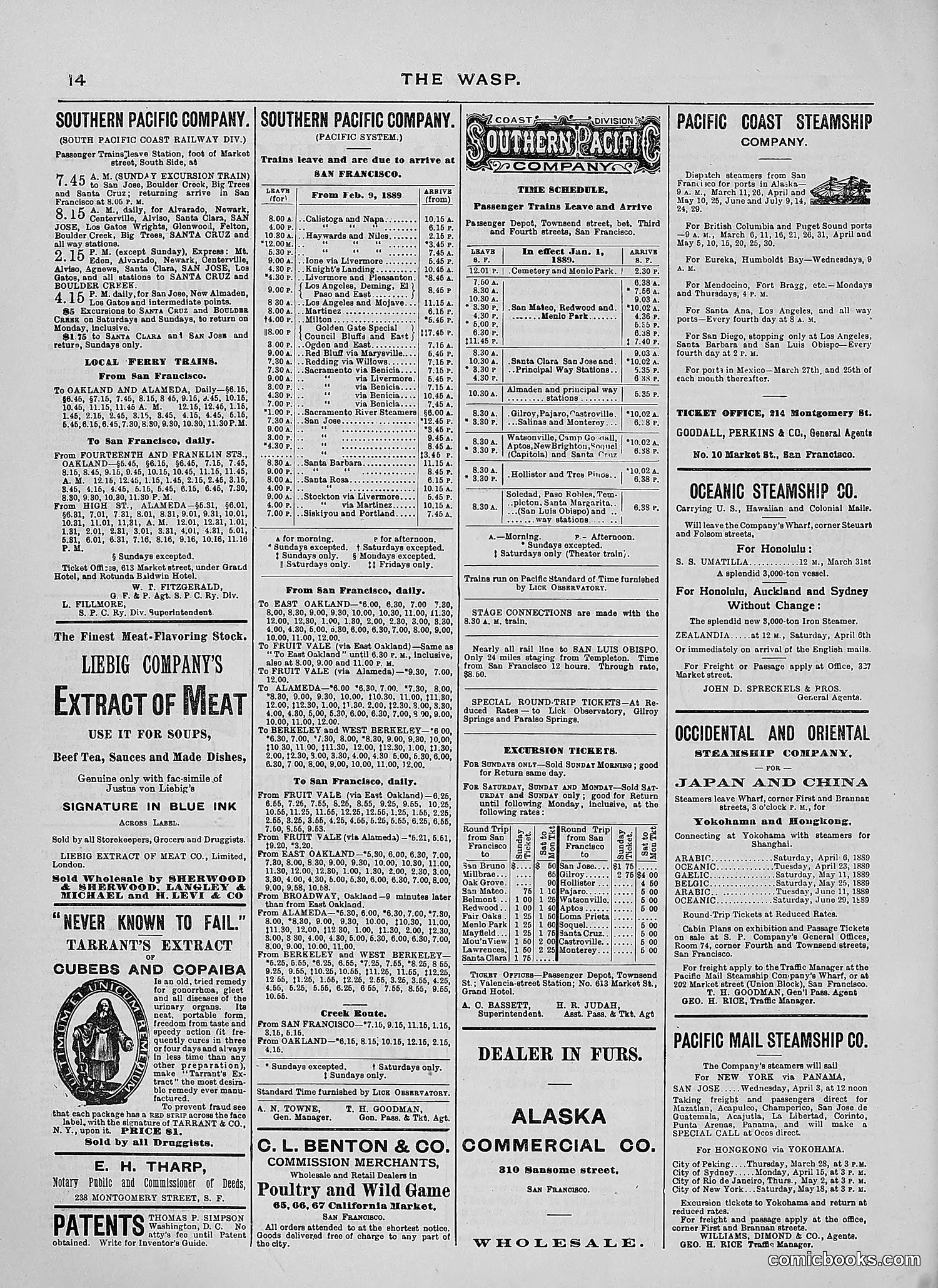 The Wasp — 1889 — page 229 of 440