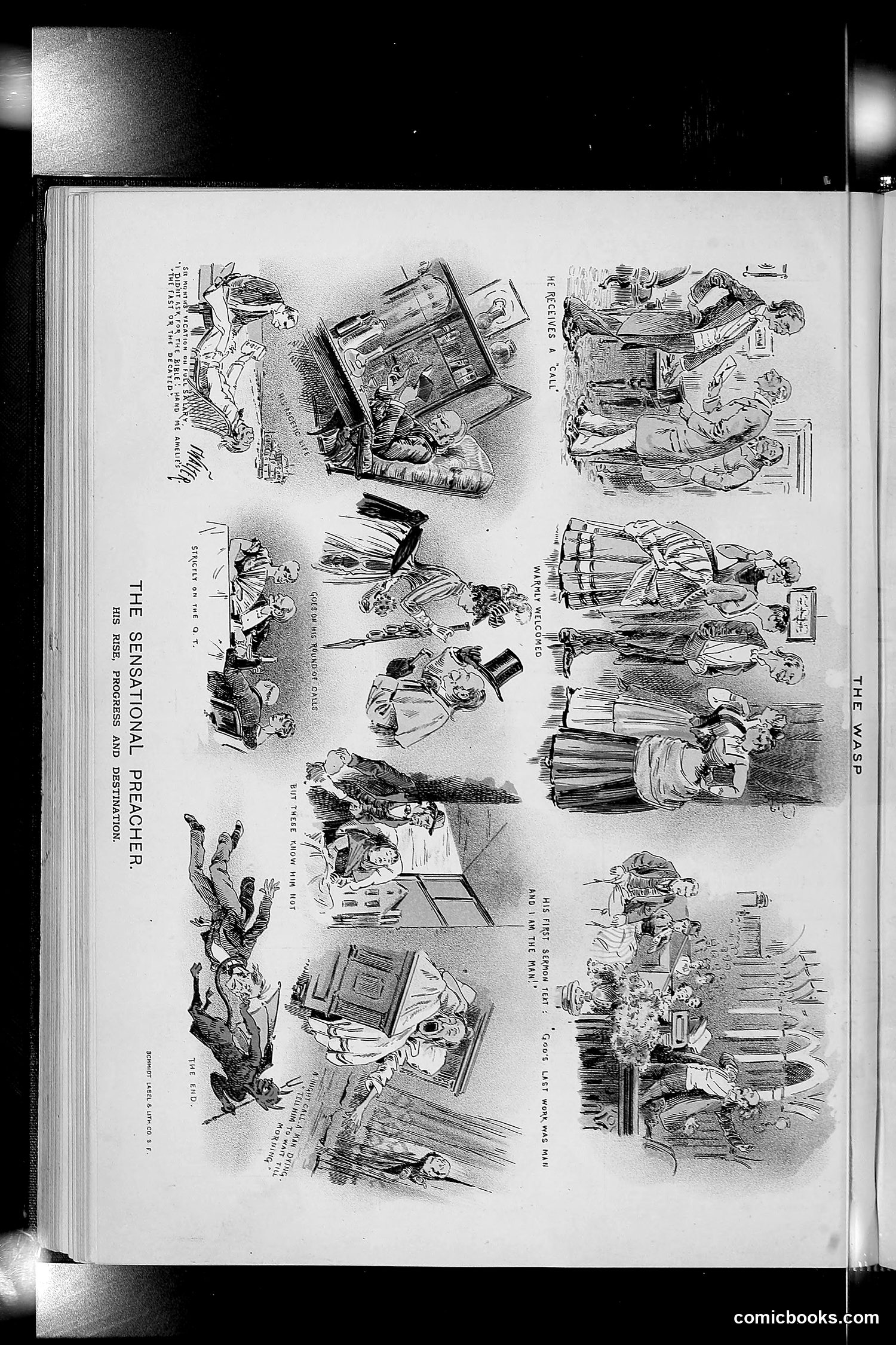 The Wasp — 1889 — page 231 of 440