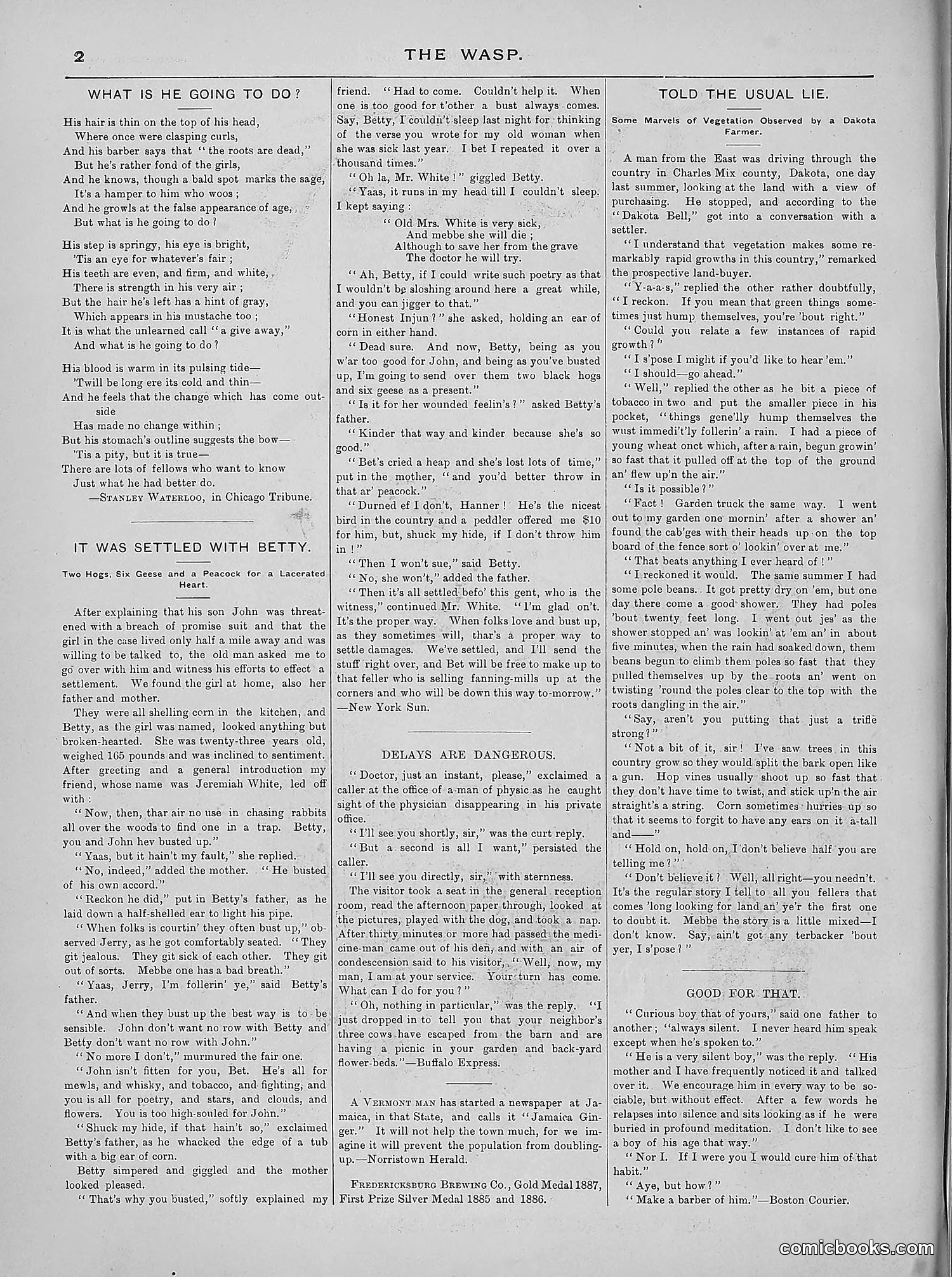 The Wasp — 1889 — page 235 of 440