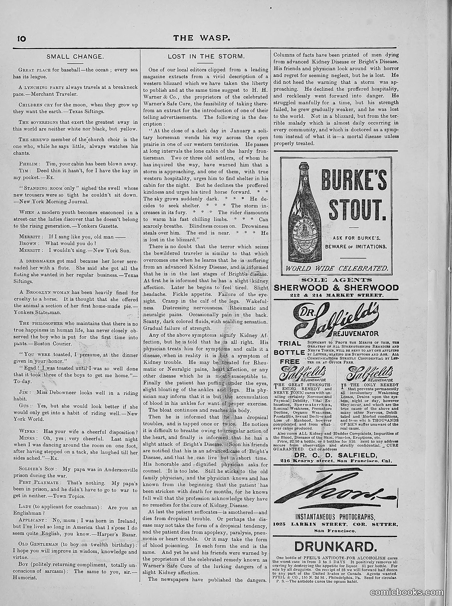 The Wasp — 1889 — page 243 of 440
