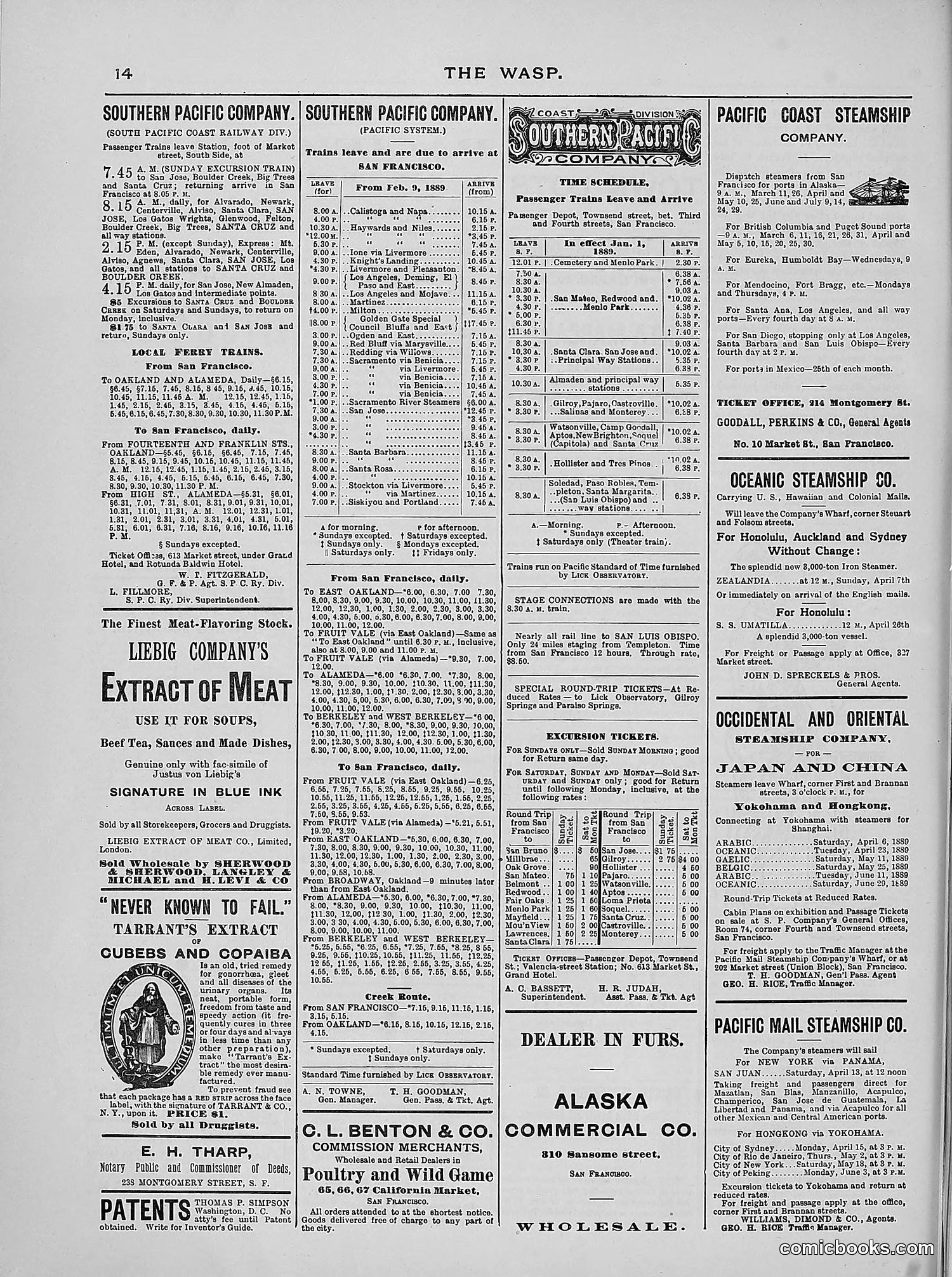 The Wasp — 1889 — page 247 of 440