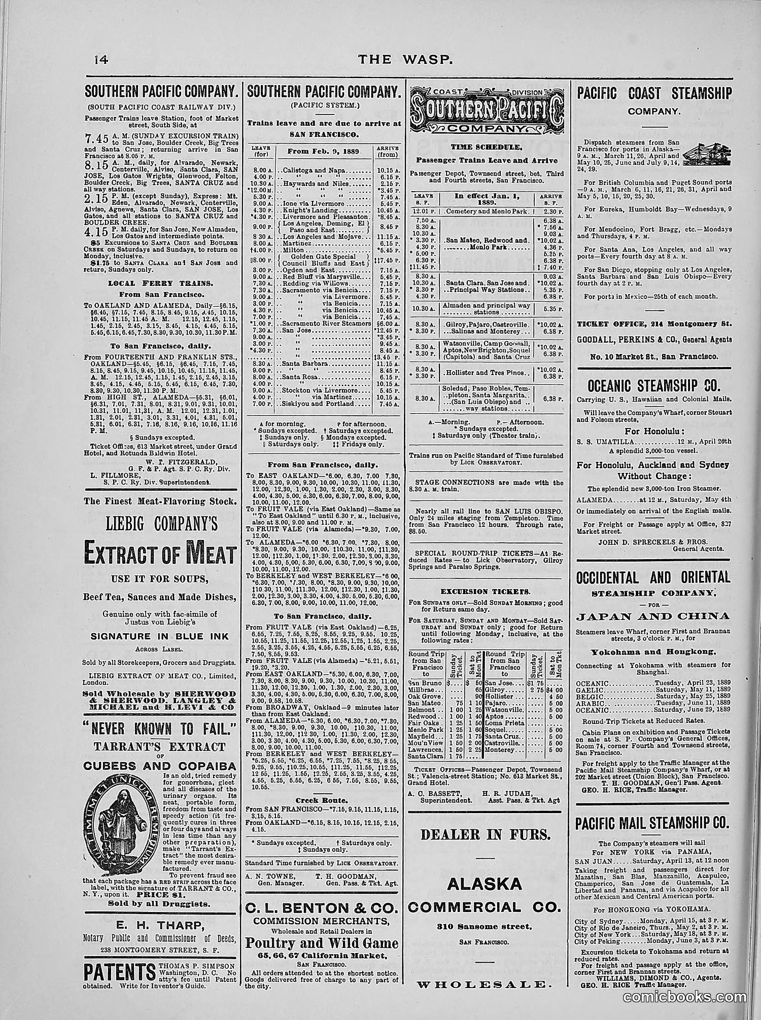 The Wasp — 1889 — page 263 of 440