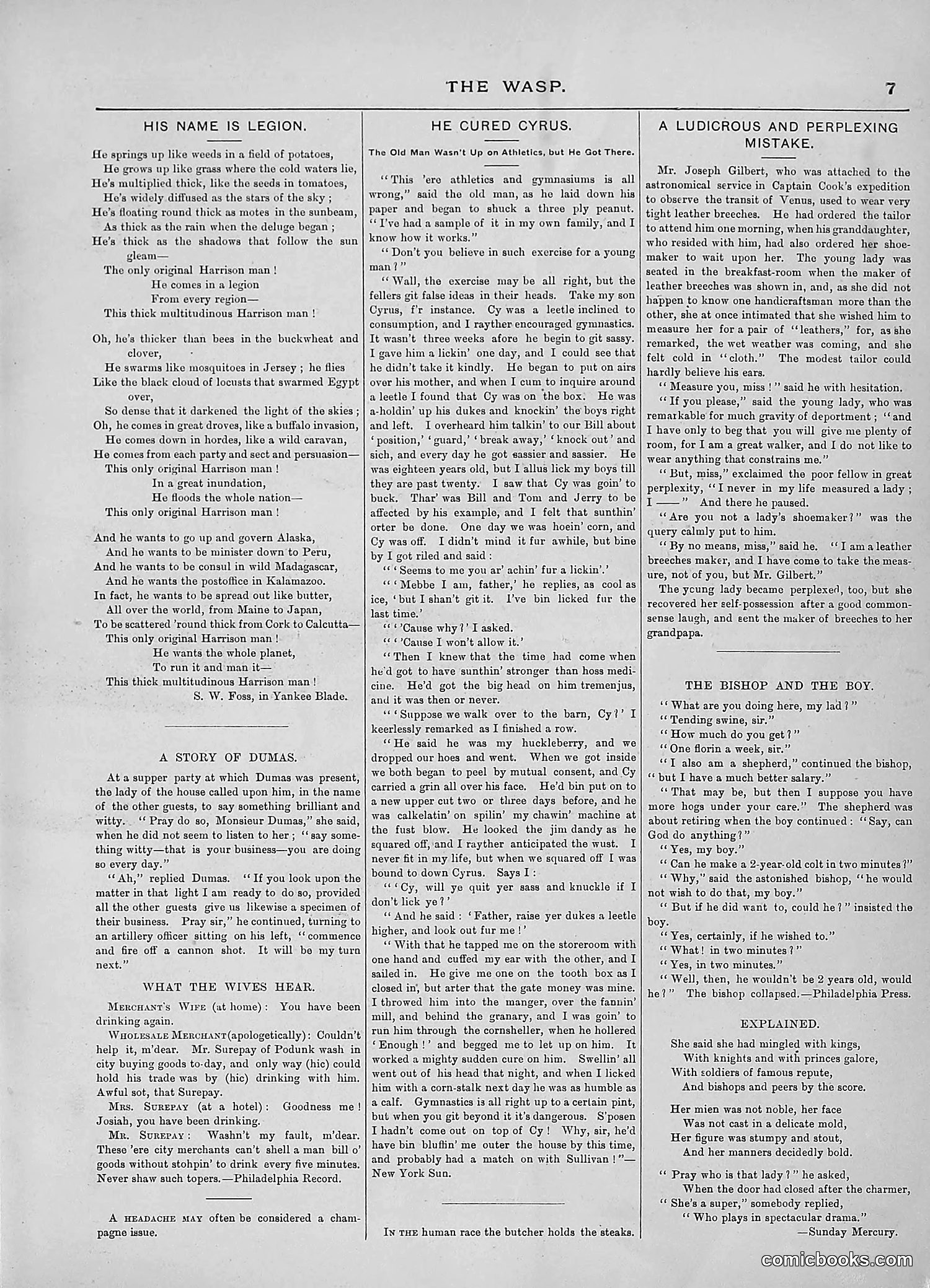 The Wasp — 1889 — page 272 of 440