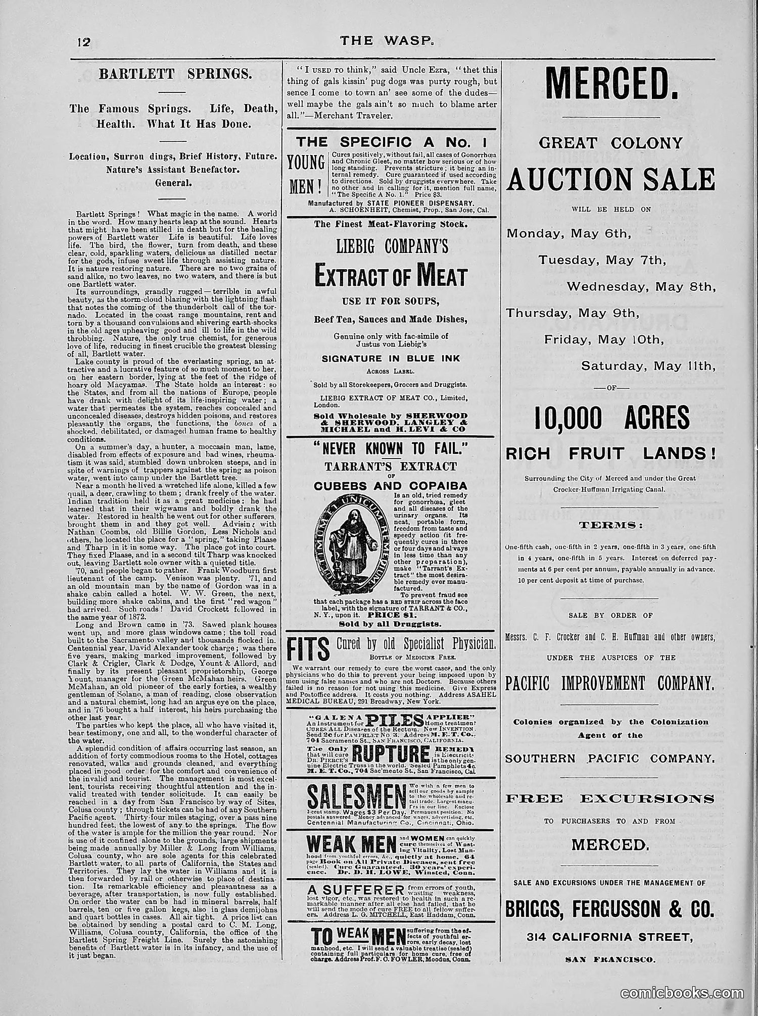 The Wasp — 1889 — page 277 of 440