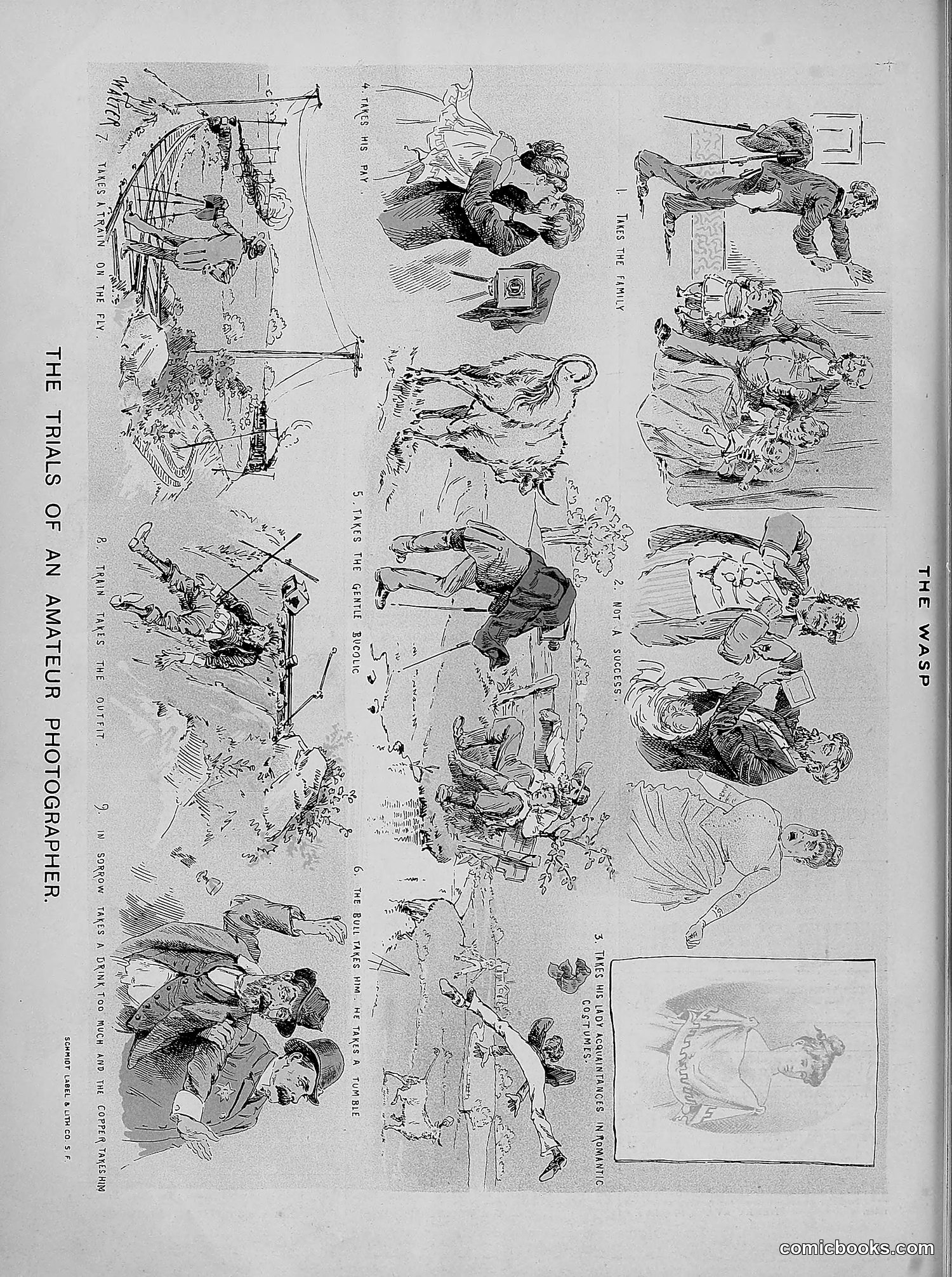 The Wasp — 1889 — page 281 of 440