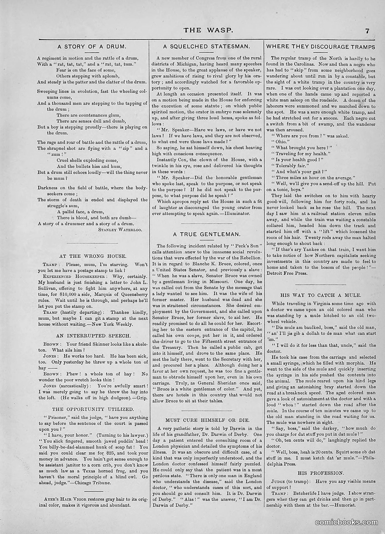 The Wasp — 1889 — page 288 of 440