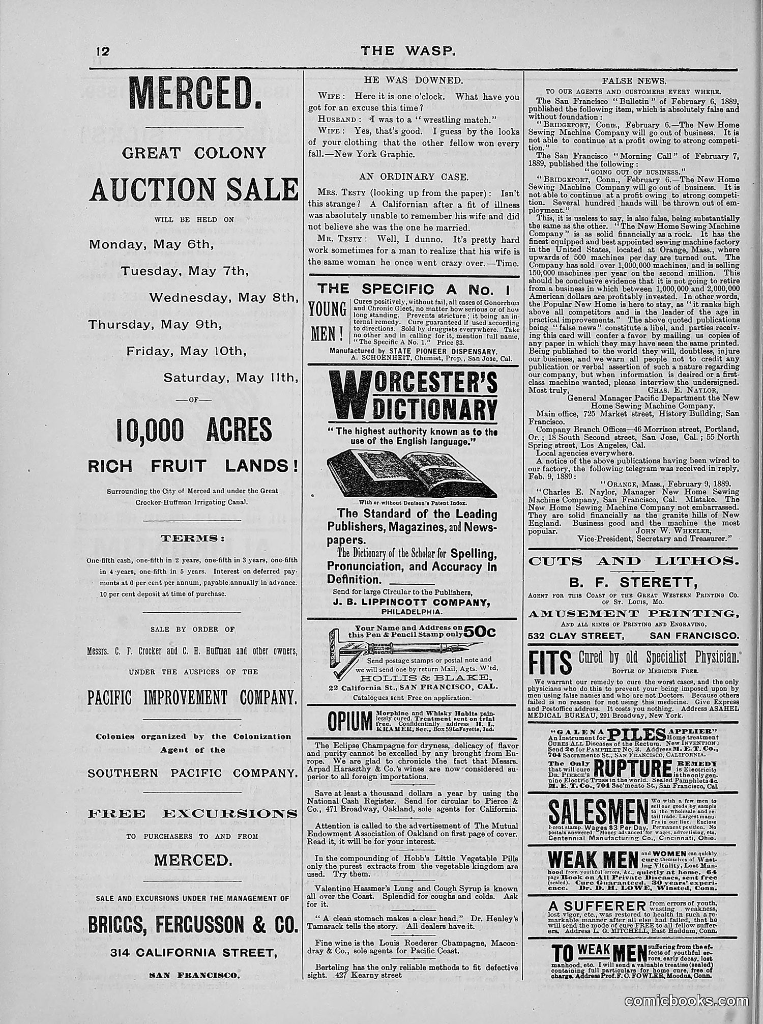 The Wasp — 1889 — page 293 of 440