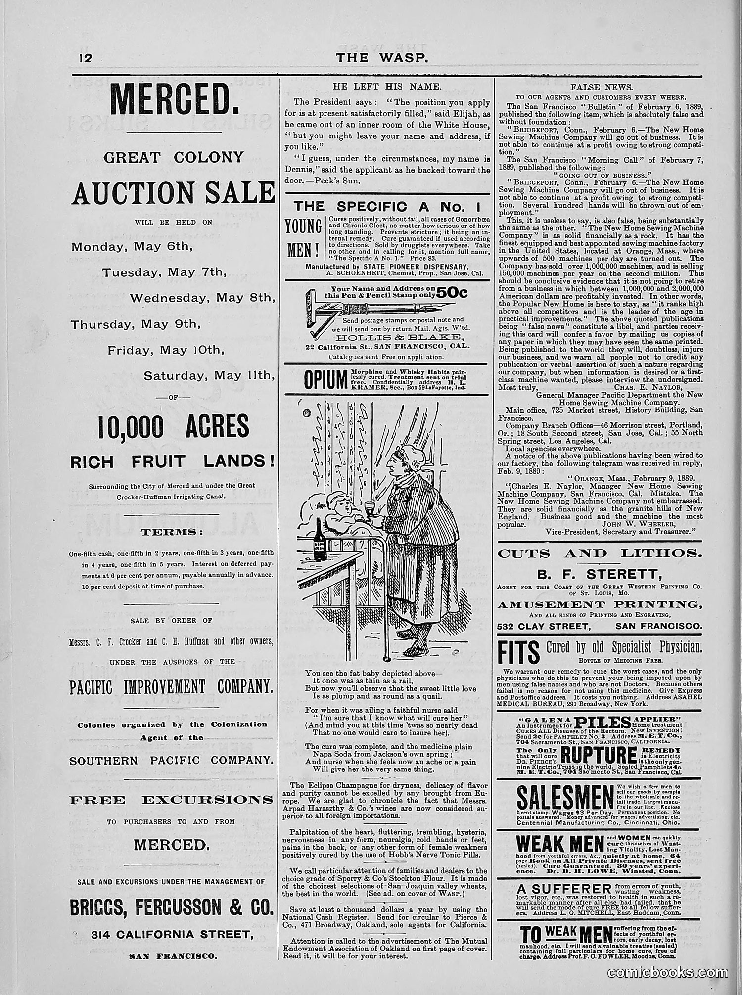 The Wasp — 1889 — page 309 of 440