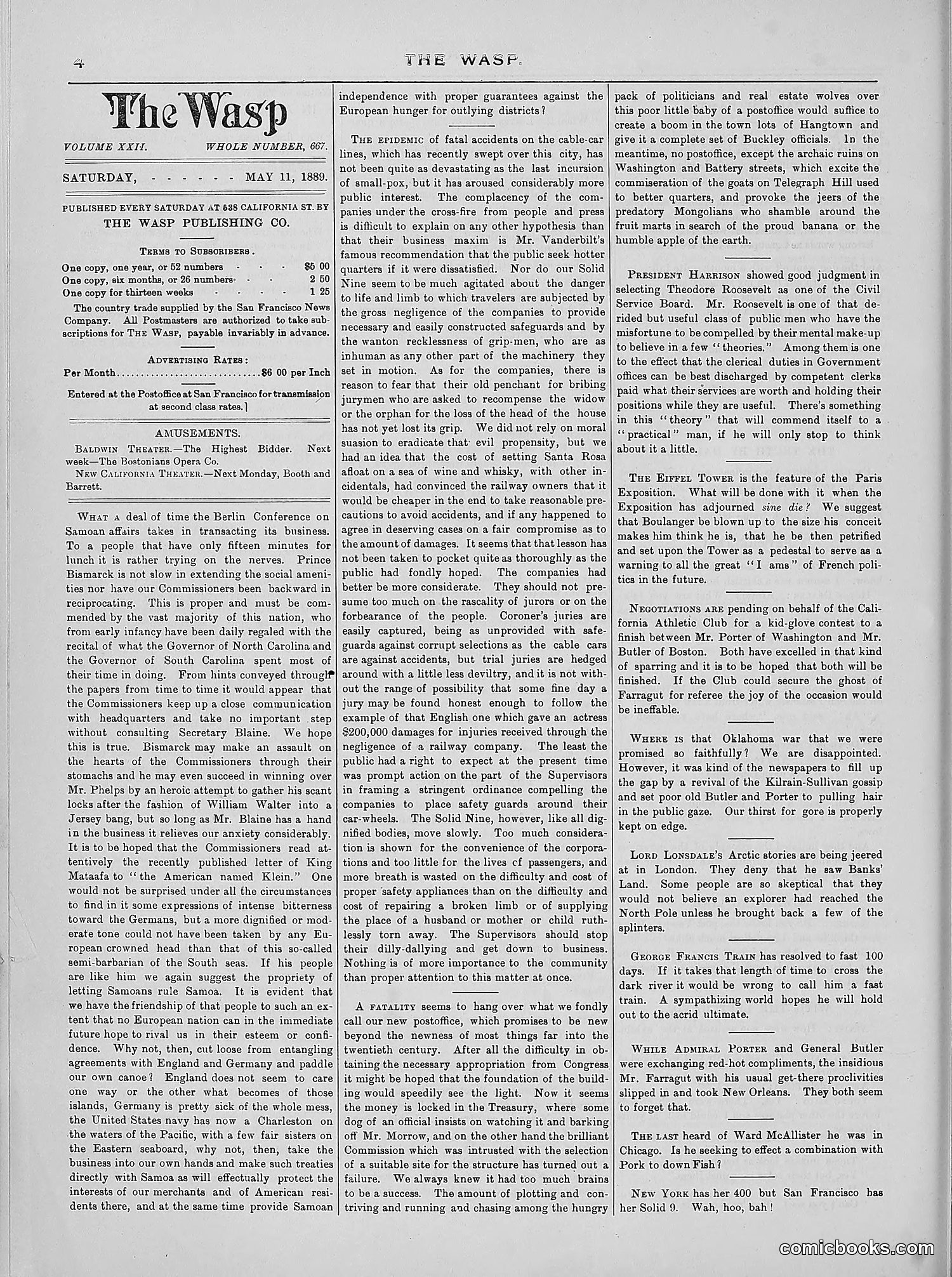 The Wasp — 1889 — page 317 of 440