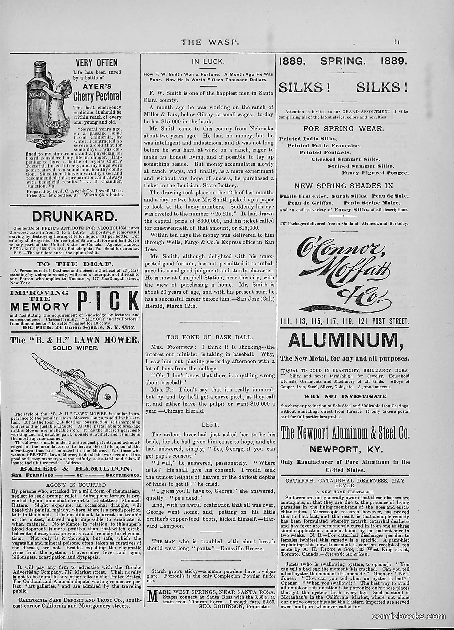 The Wasp — 1889 — page 324 of 440