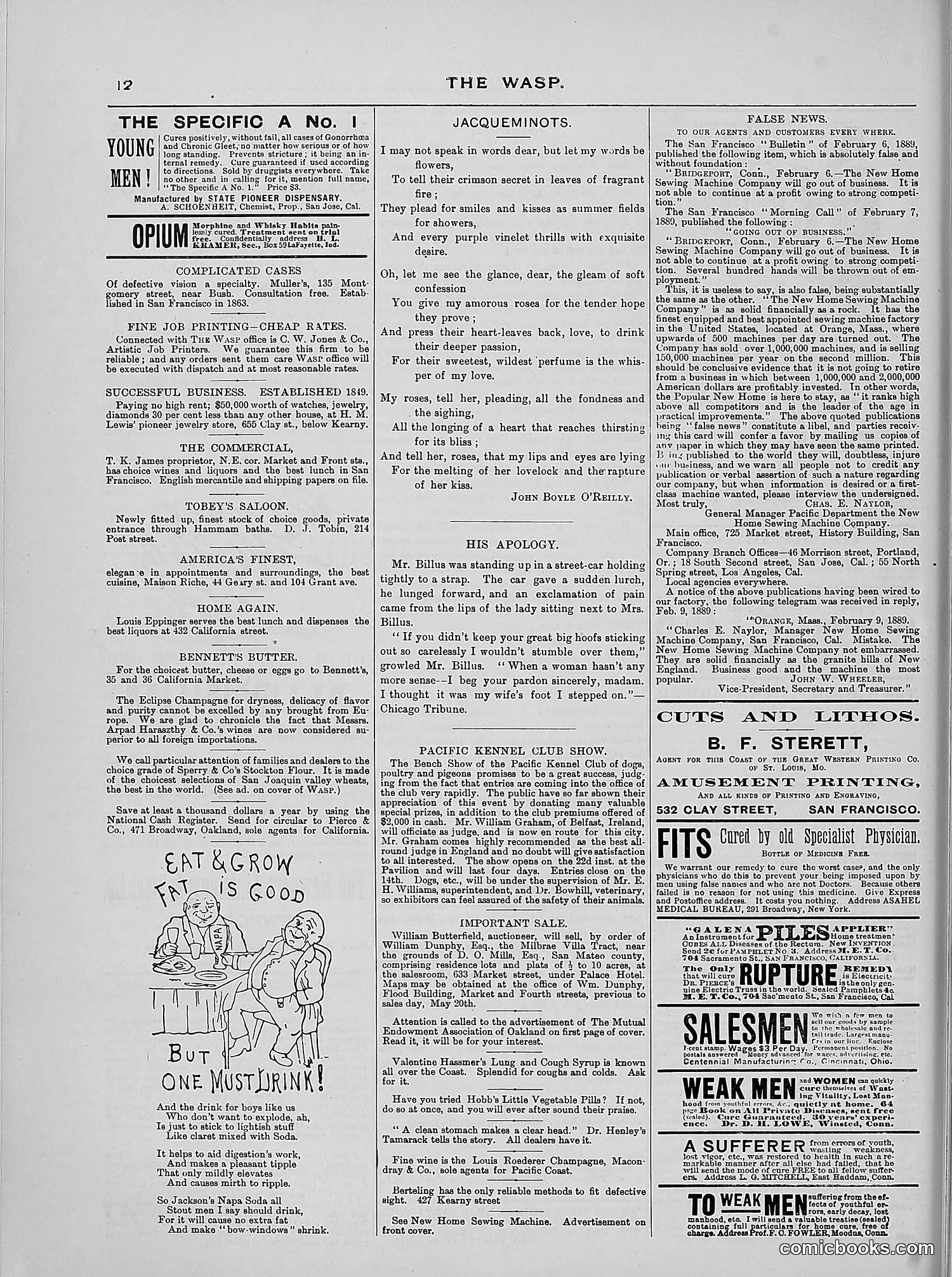 The Wasp — 1889 — page 325 of 440