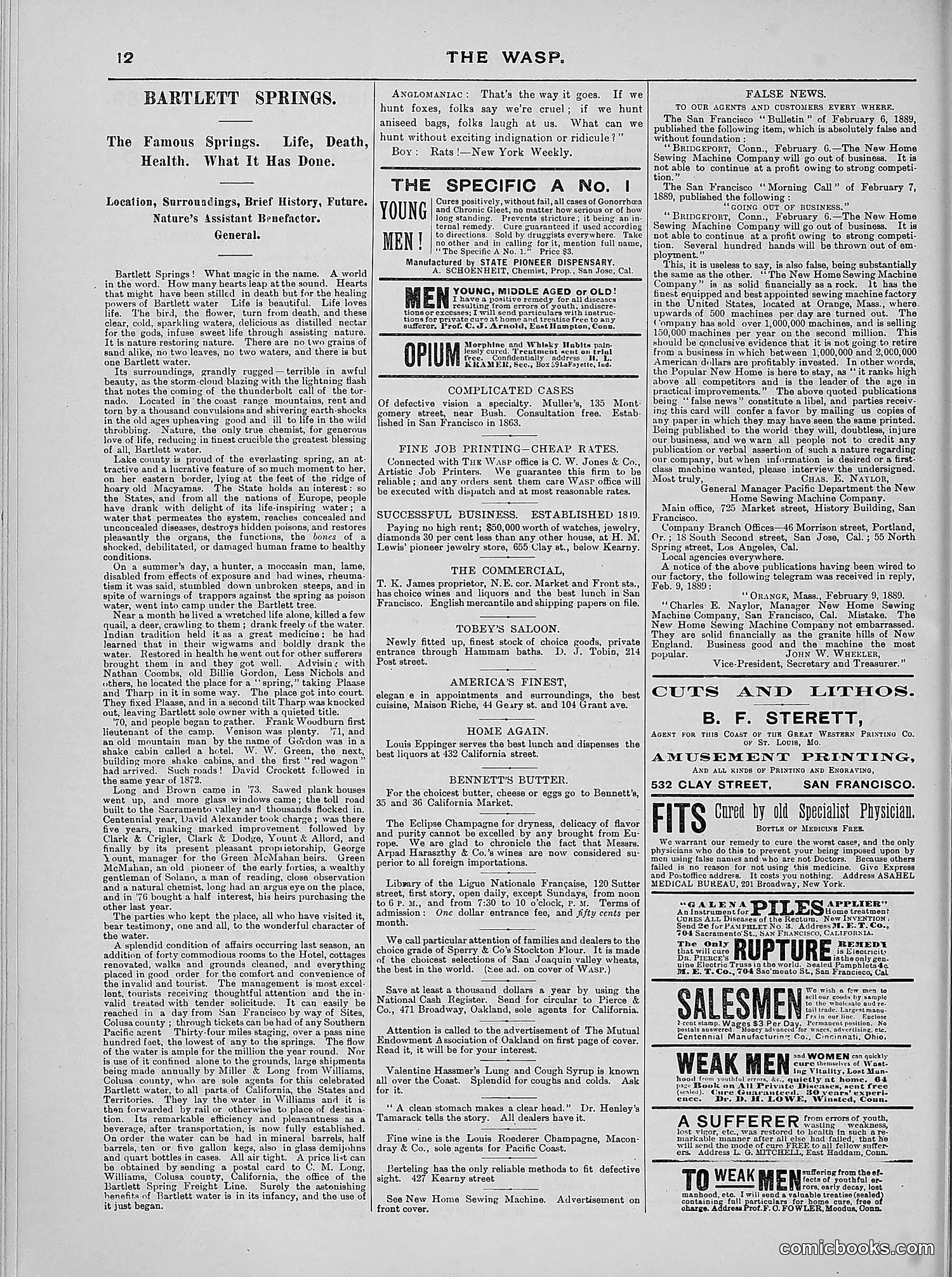 The Wasp — 1889 — page 341 of 440